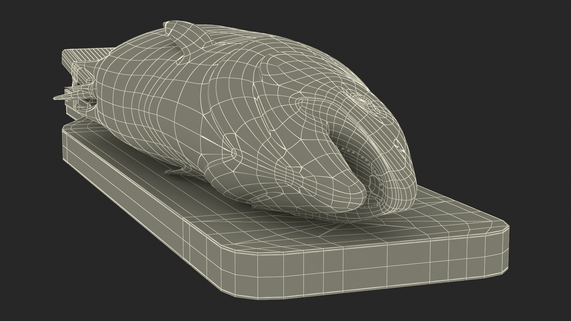 Fillet Board with Salmon 3D model