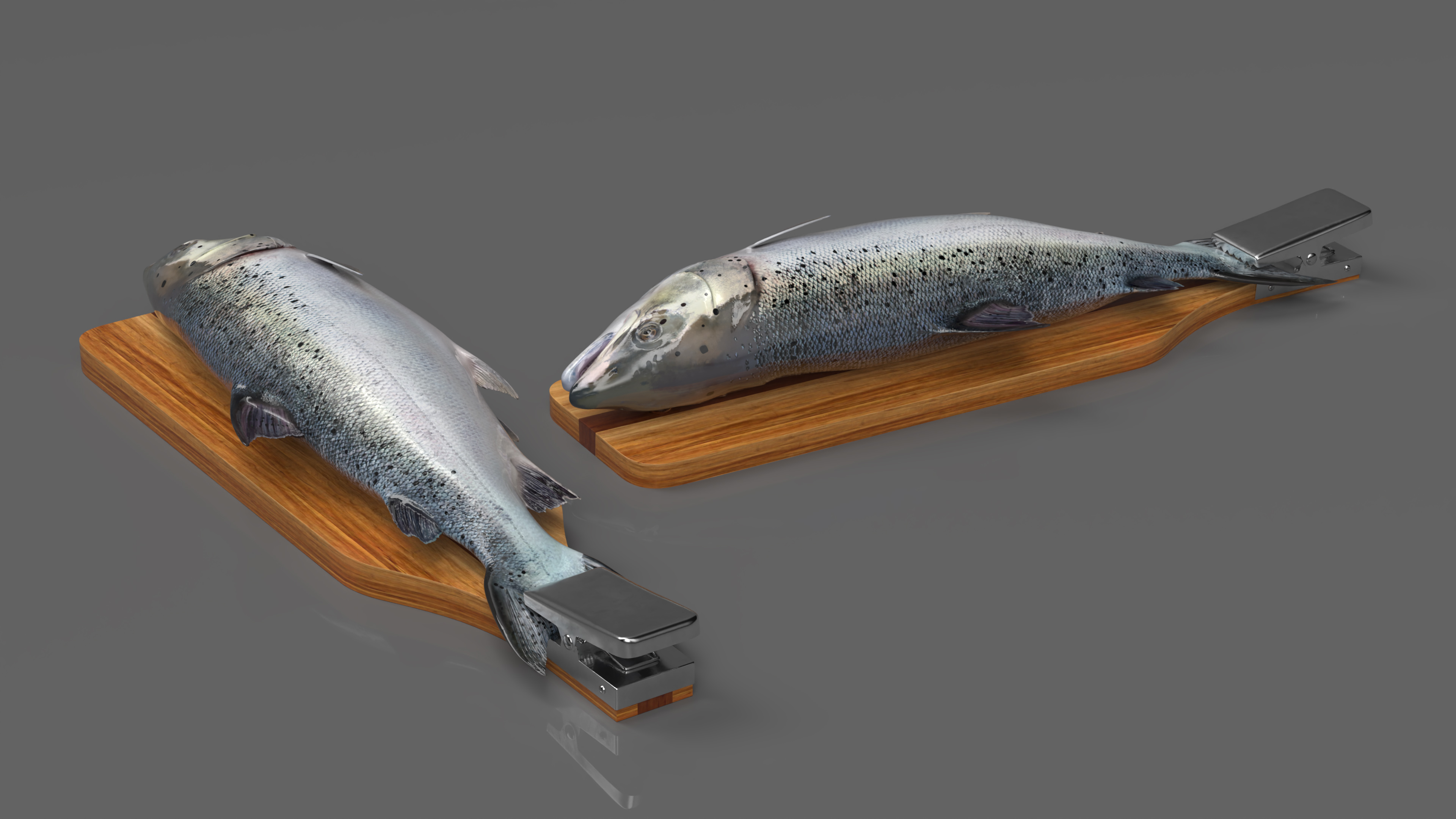 Fillet Board with Salmon 3D model