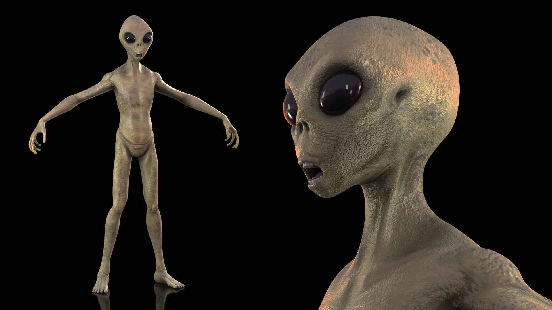 3D Humanoid Alien Creature model