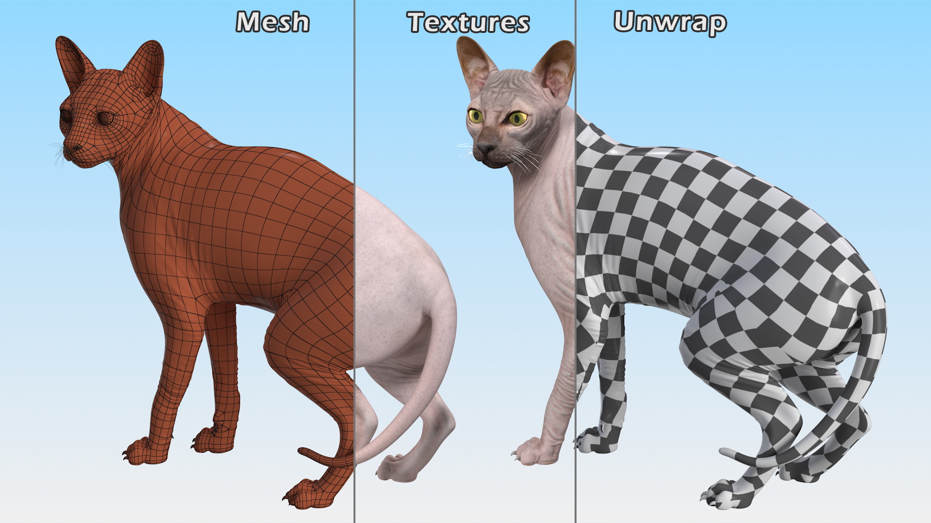 Dark Solid Color Sphynx Cat 3D