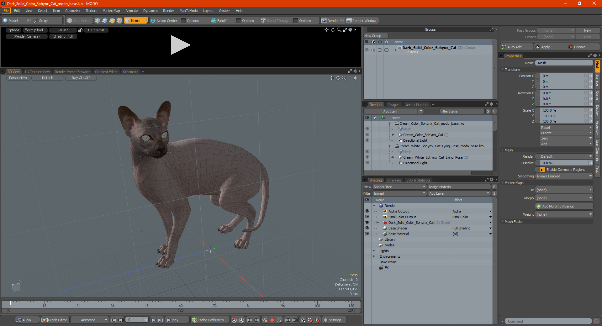 Dark Solid Color Sphynx Cat 3D