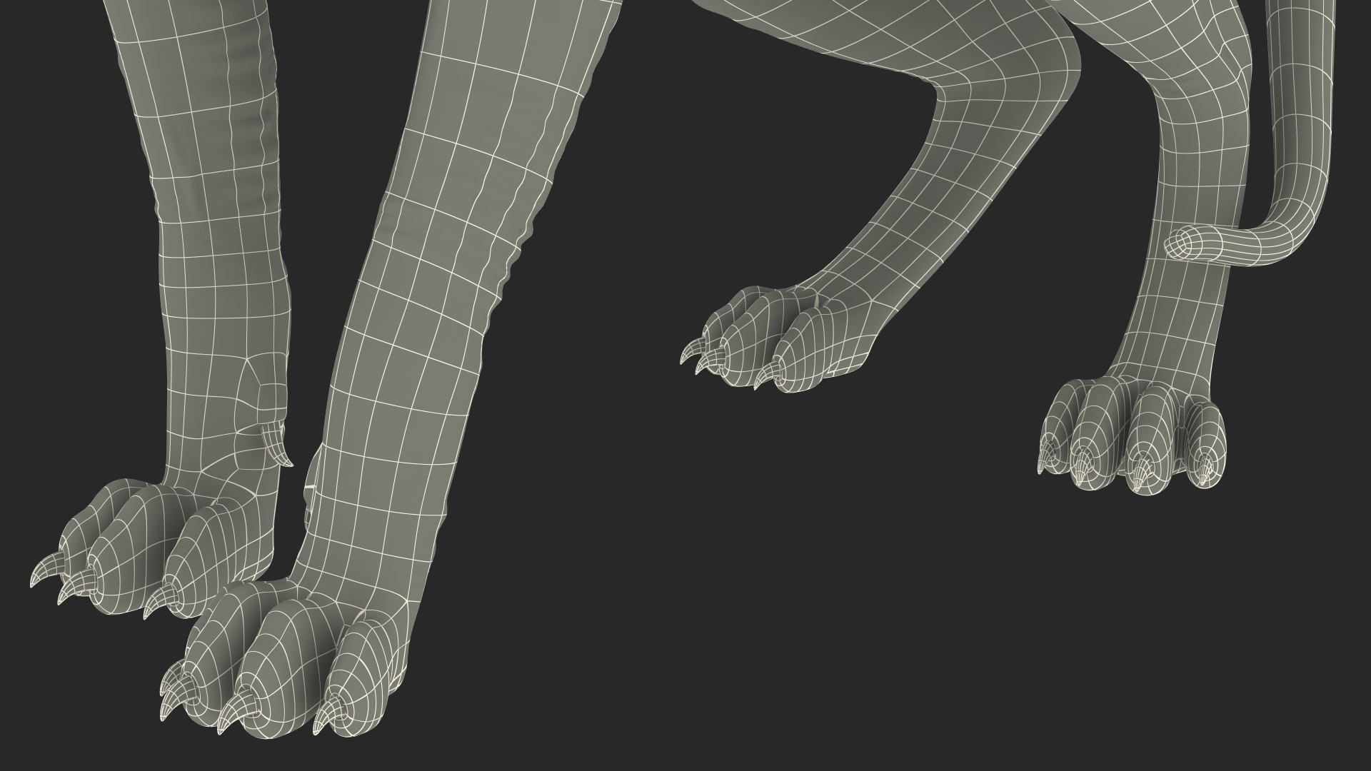 Dark Solid Color Sphynx Cat 3D