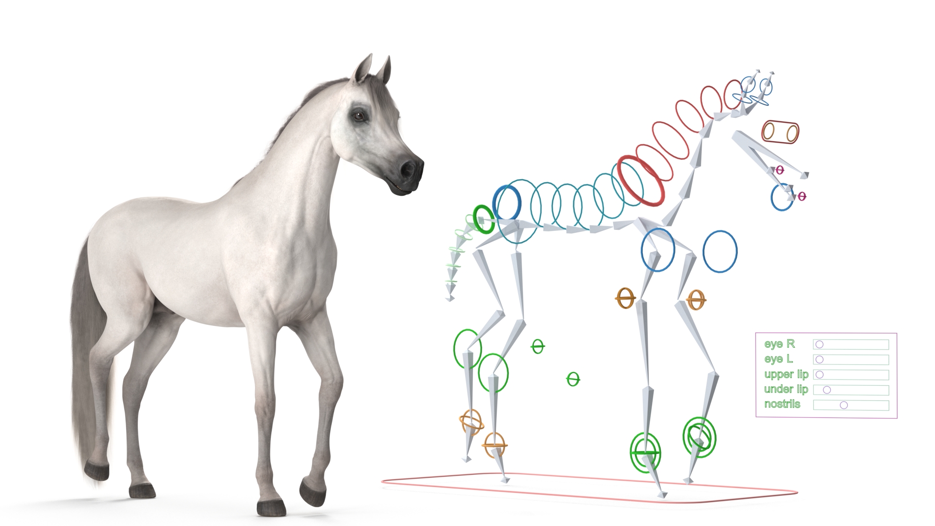 3D model Arabian Horse White Fur Rigged