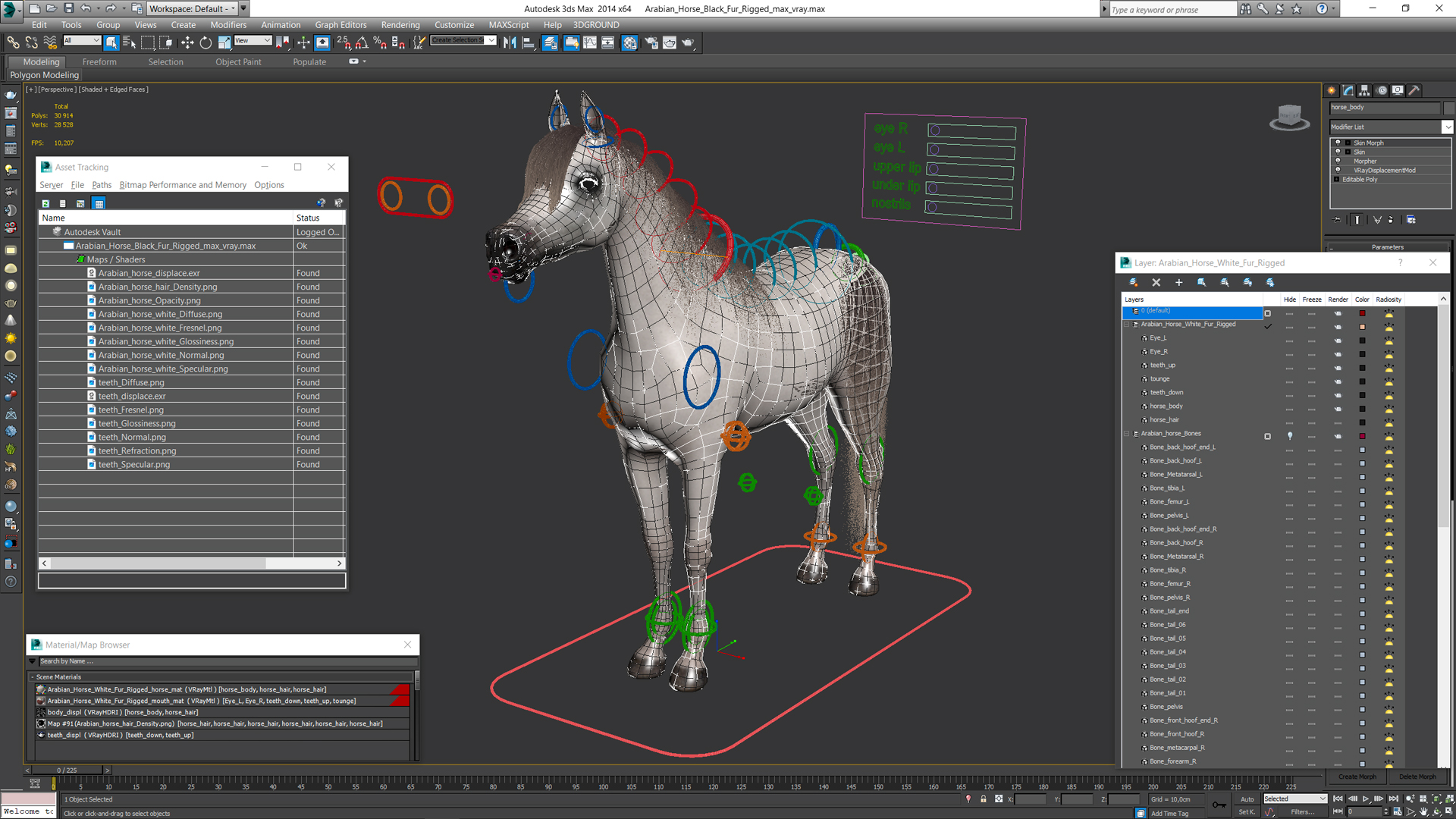 3D model Arabian Horse White Fur Rigged