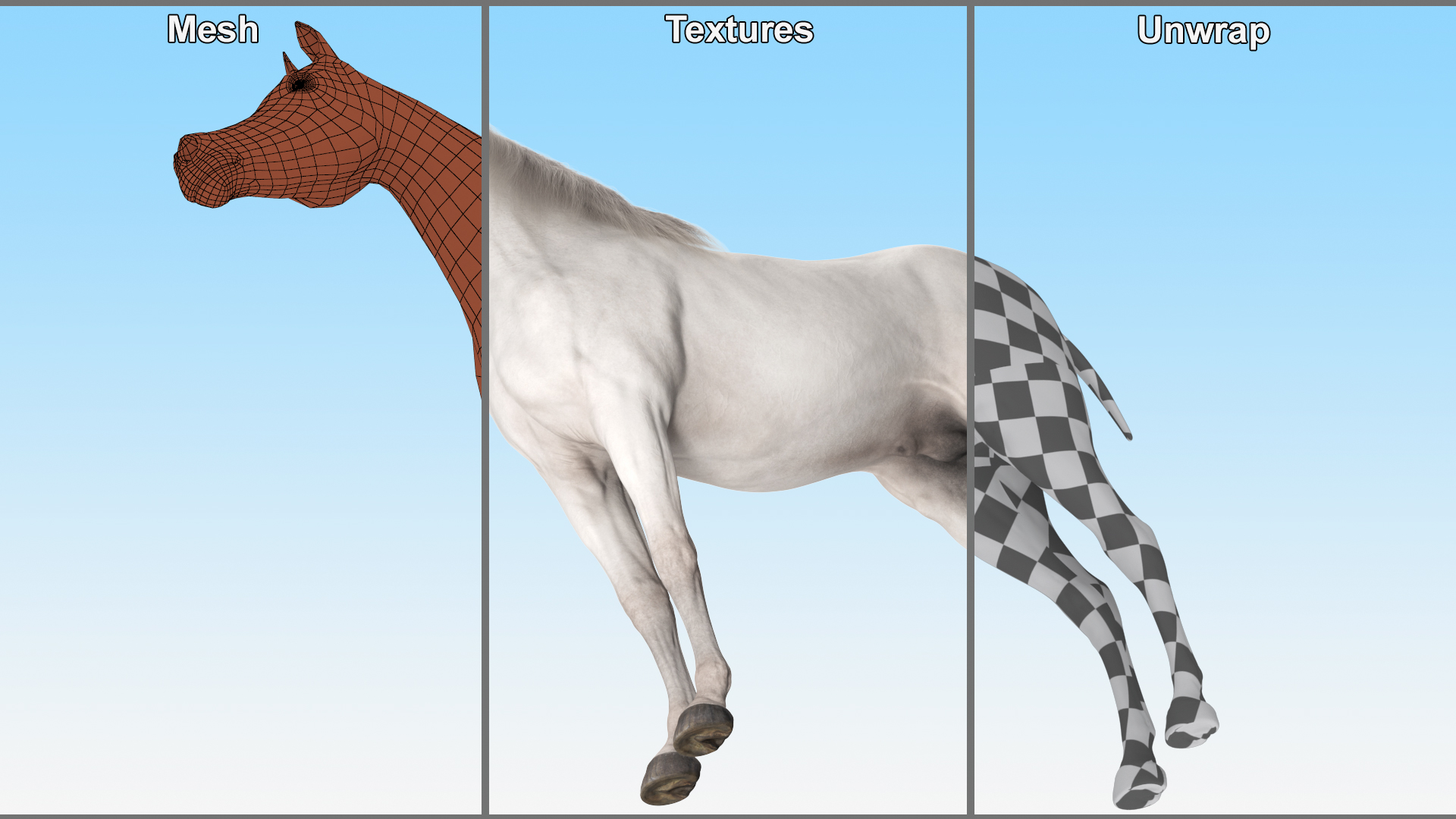 3D model Arabian Horse White Fur Rigged