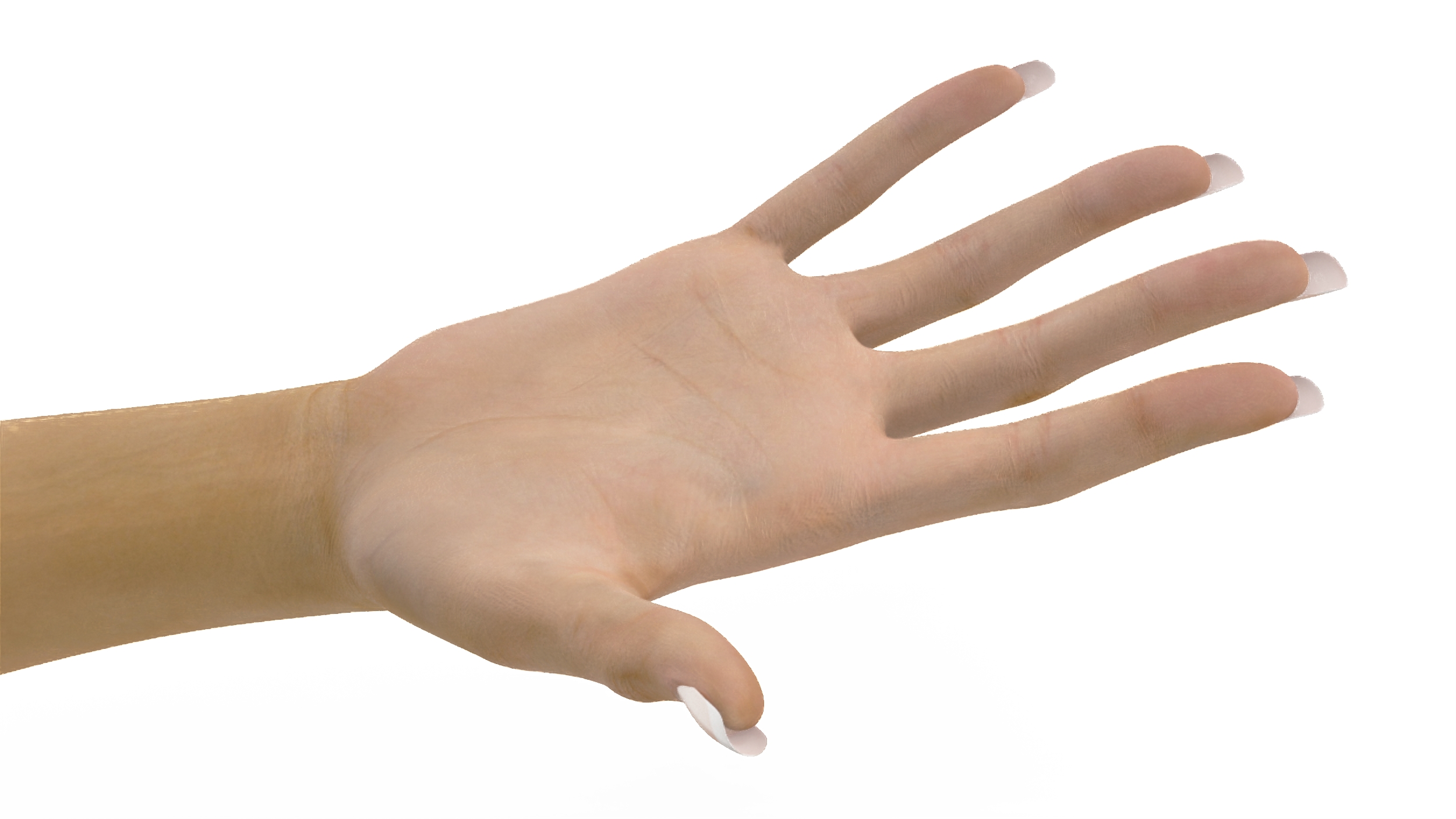 3D White Woman Hand Base Pose