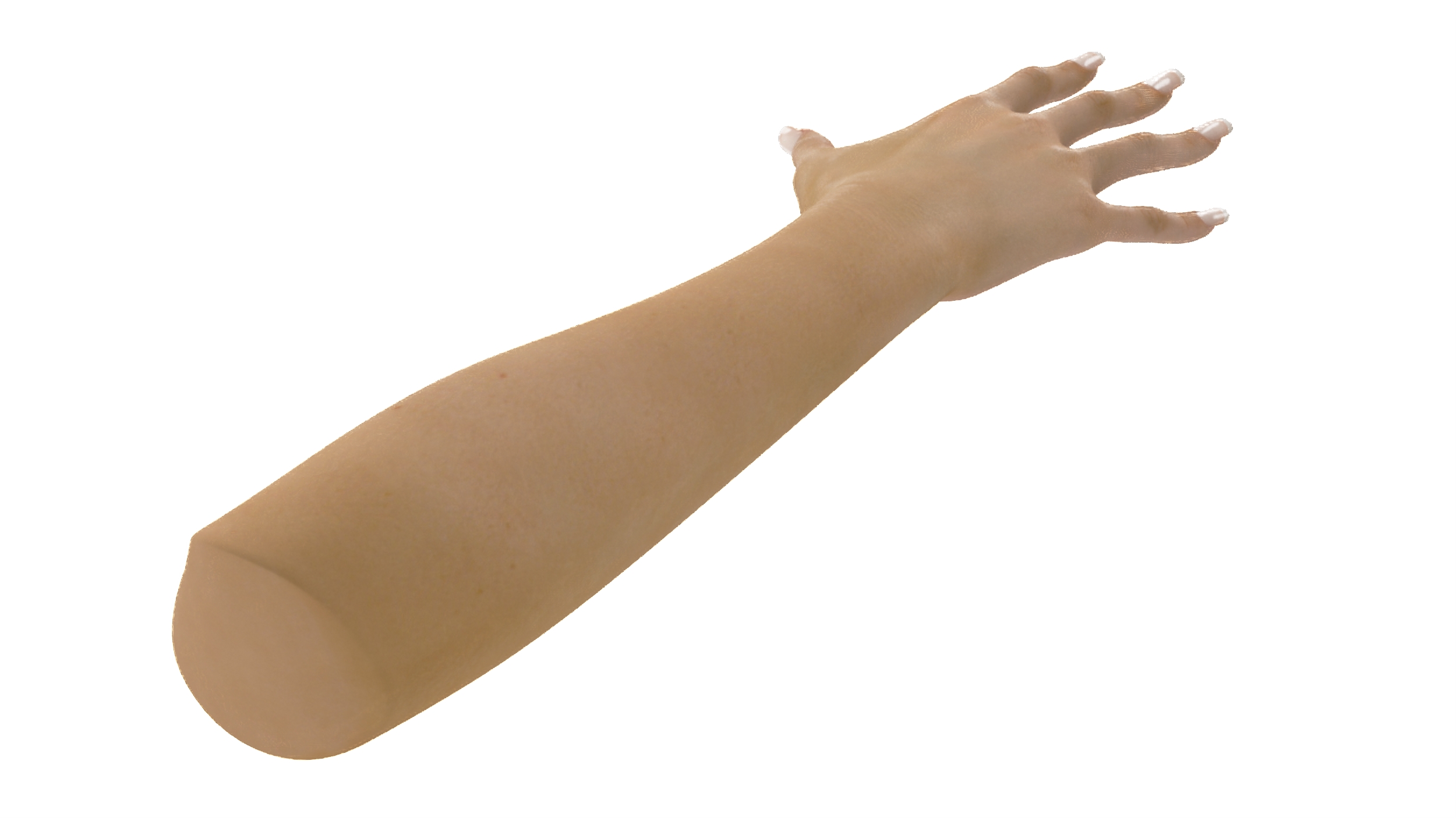 3D White Woman Hand Base Pose