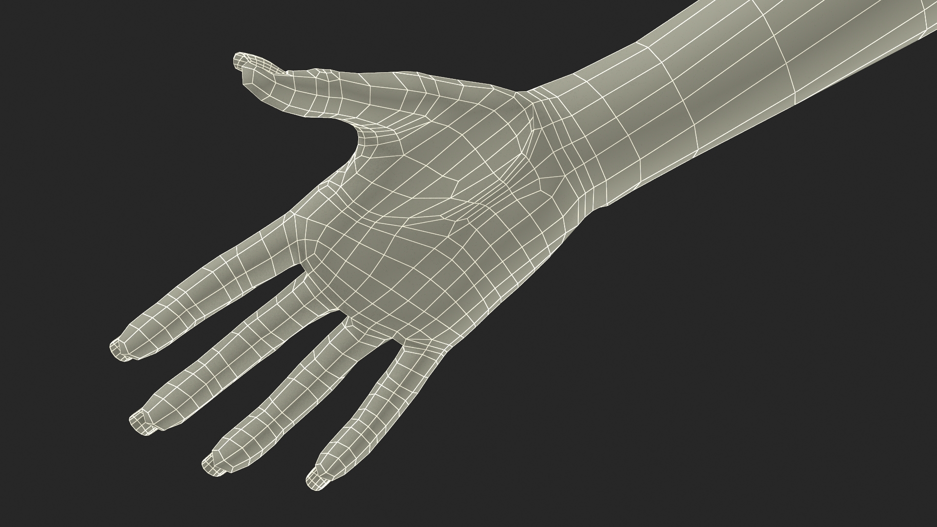 3D White Woman Hand Base Pose