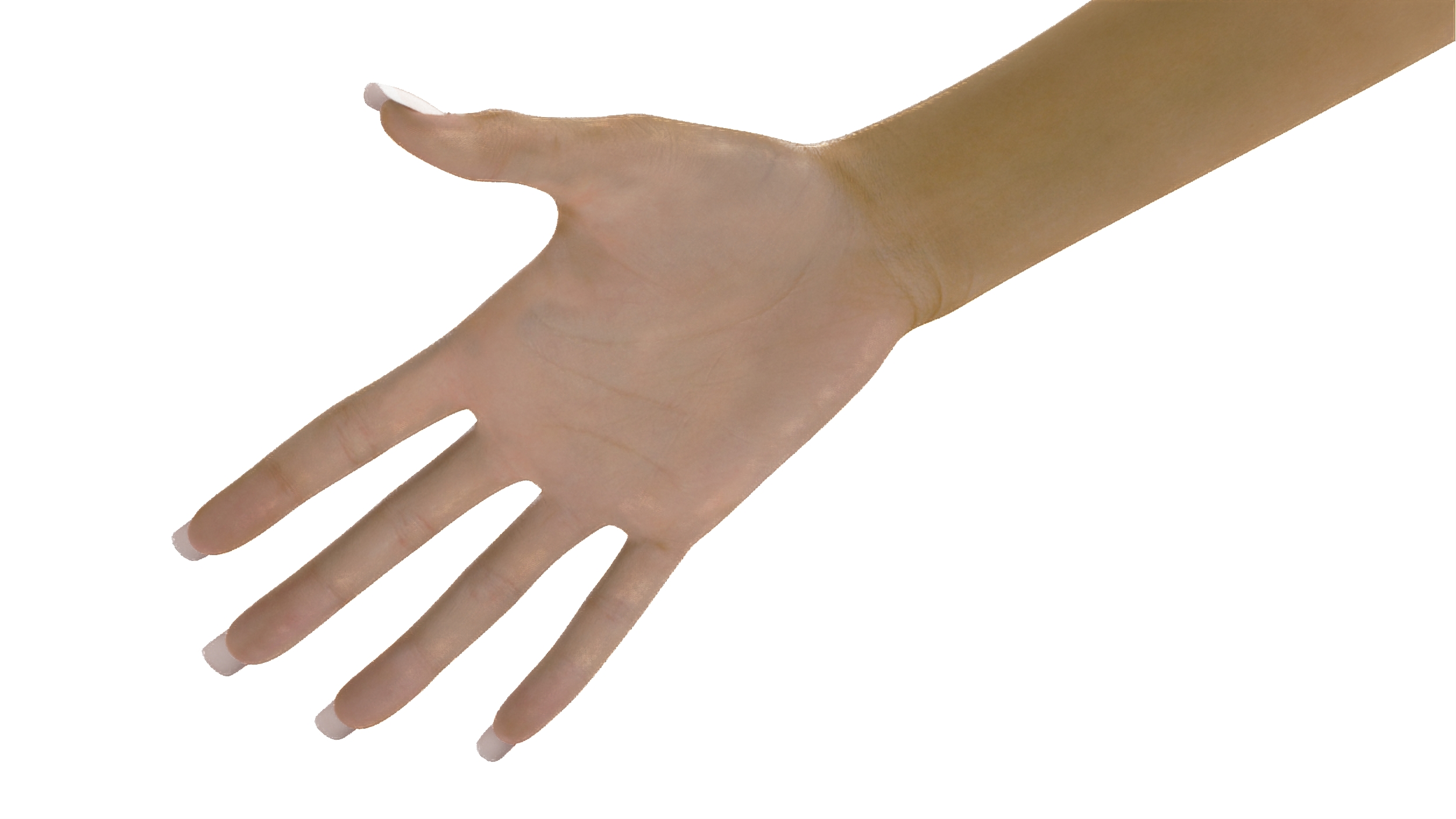 3D White Woman Hand Base Pose