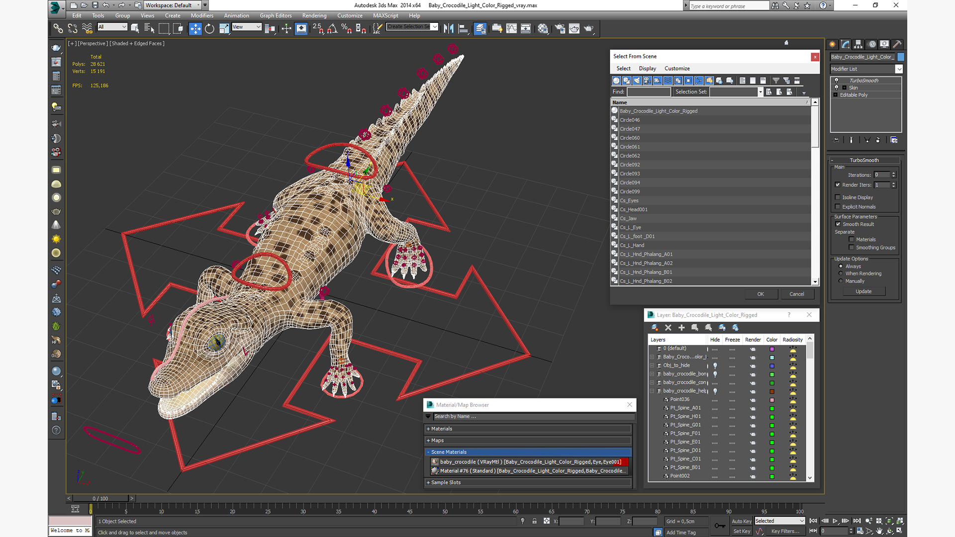 Baby Crocodile Light Color Rigged for Maya 3D