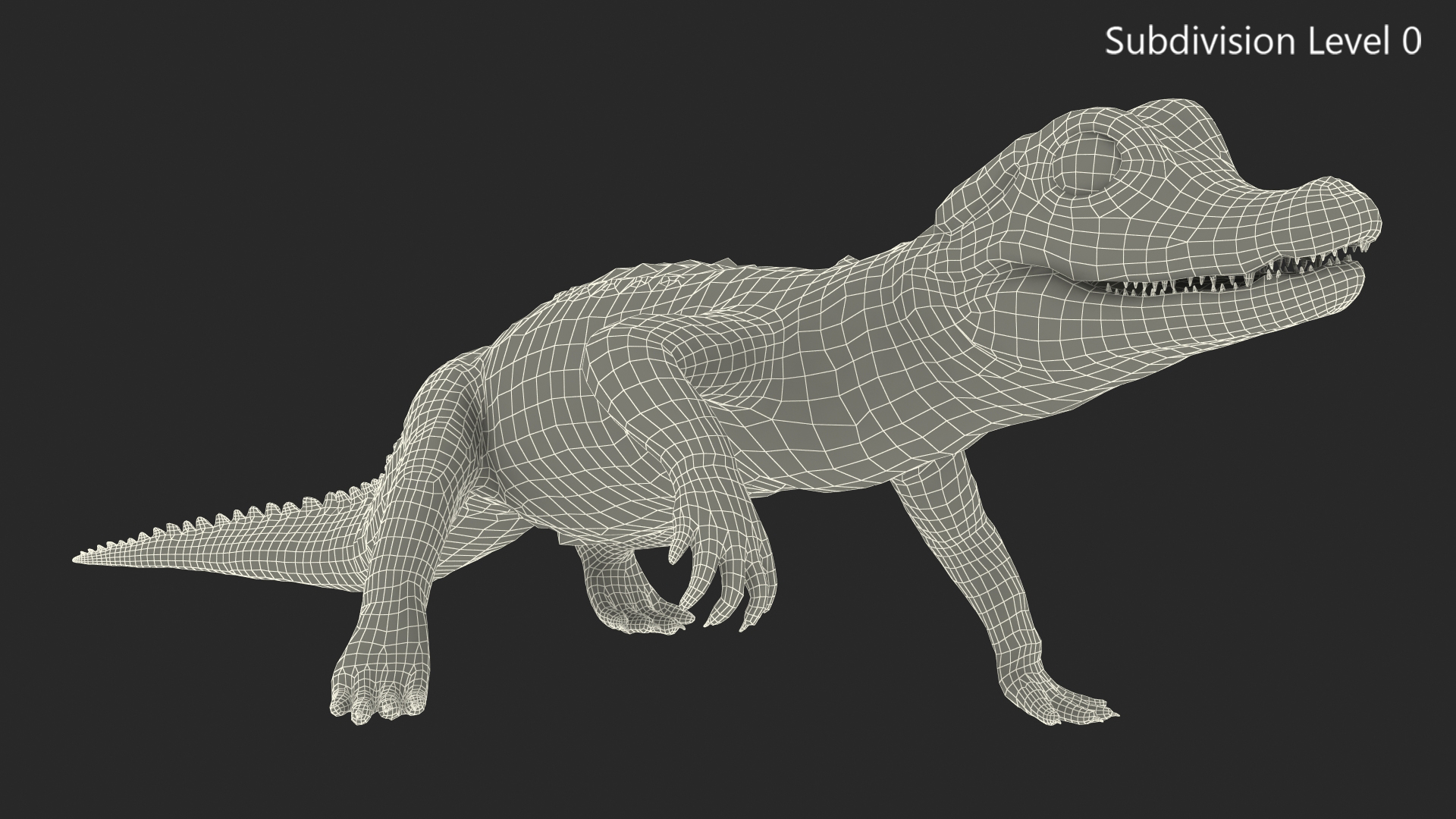 Baby Crocodile Light Color Rigged for Maya 3D