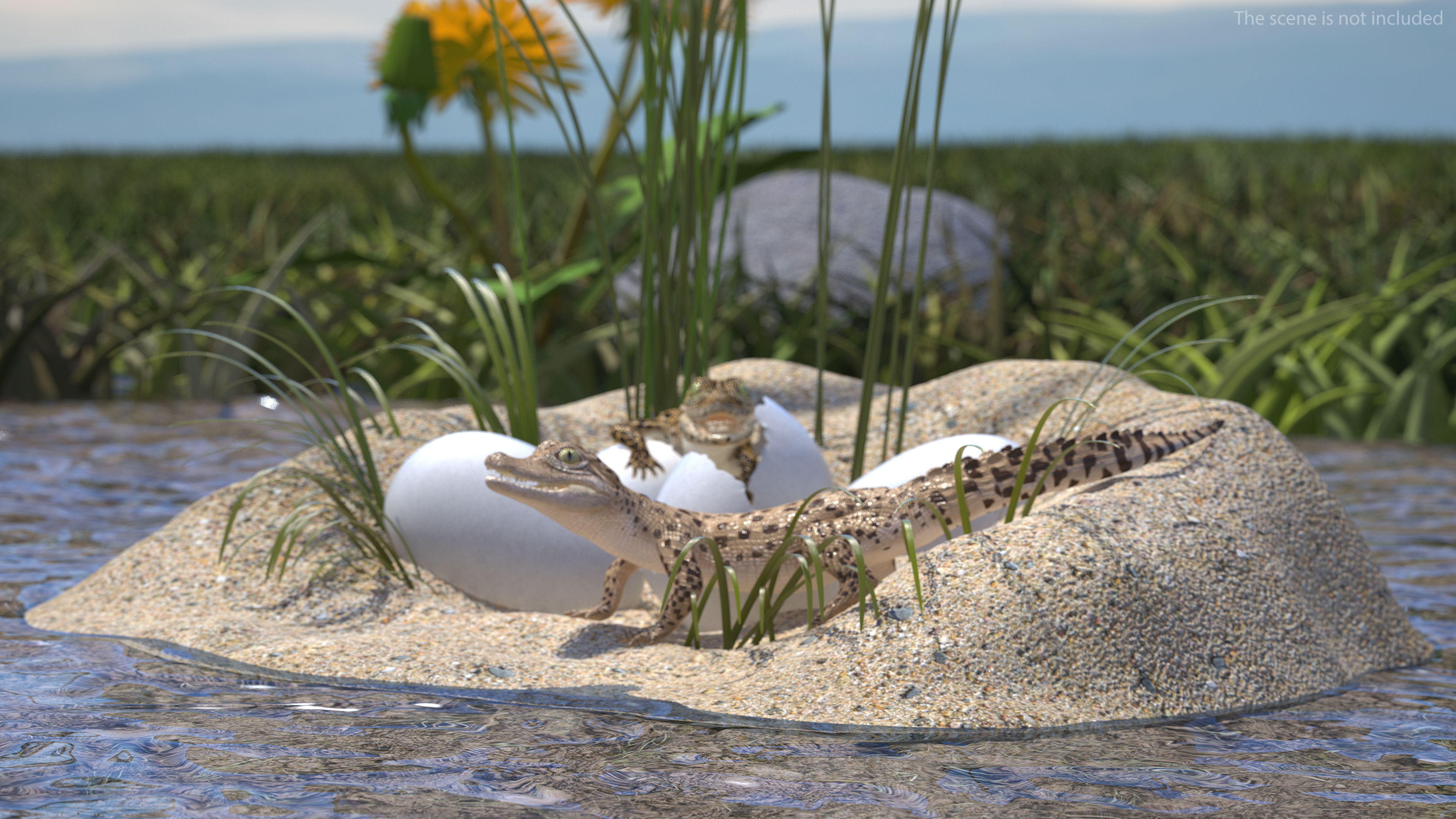 Baby Crocodile Light Color Rigged for Maya 3D