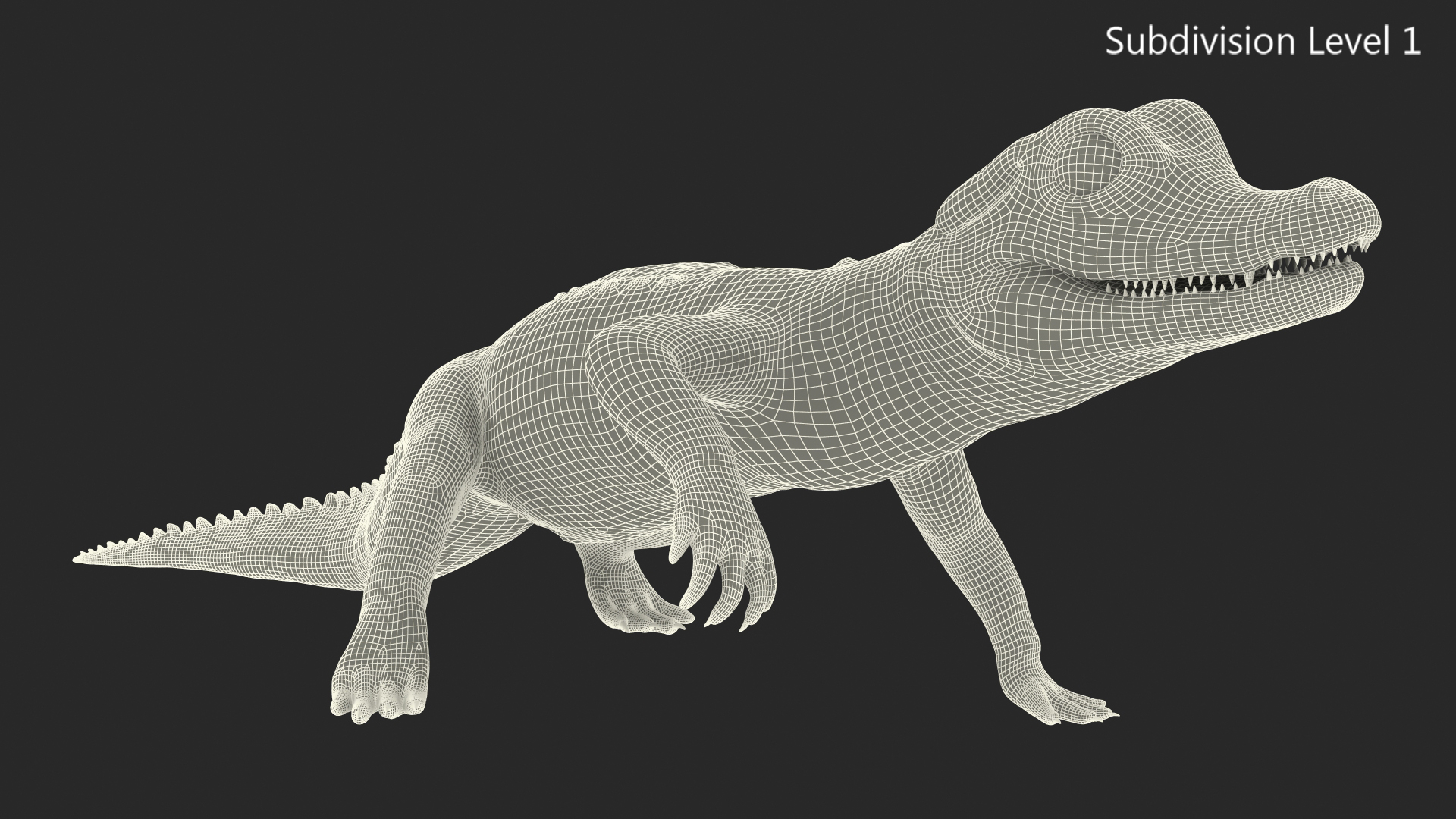 Baby Crocodile Light Color Rigged for Maya 3D