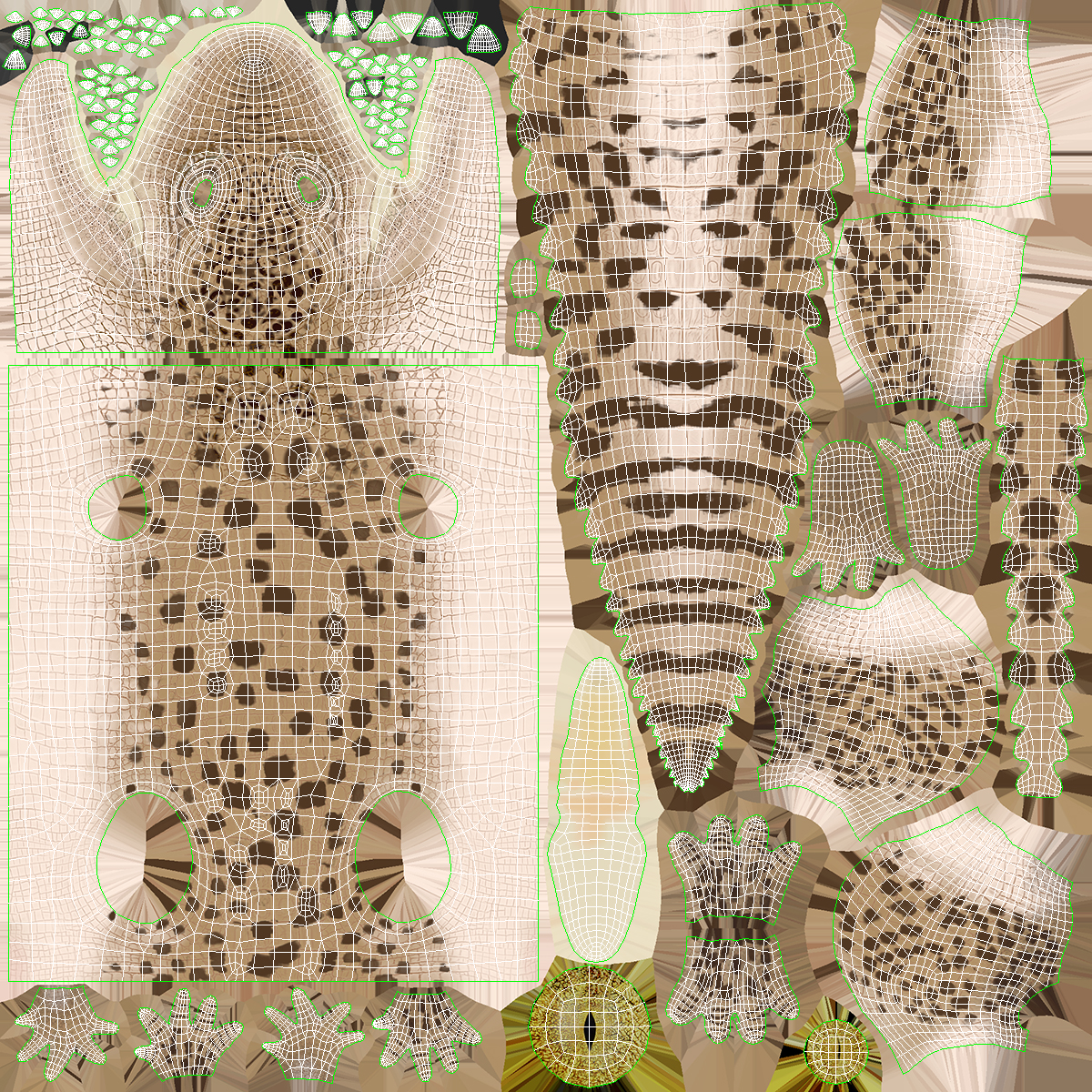 Baby Crocodile Light Color Rigged for Maya 3D