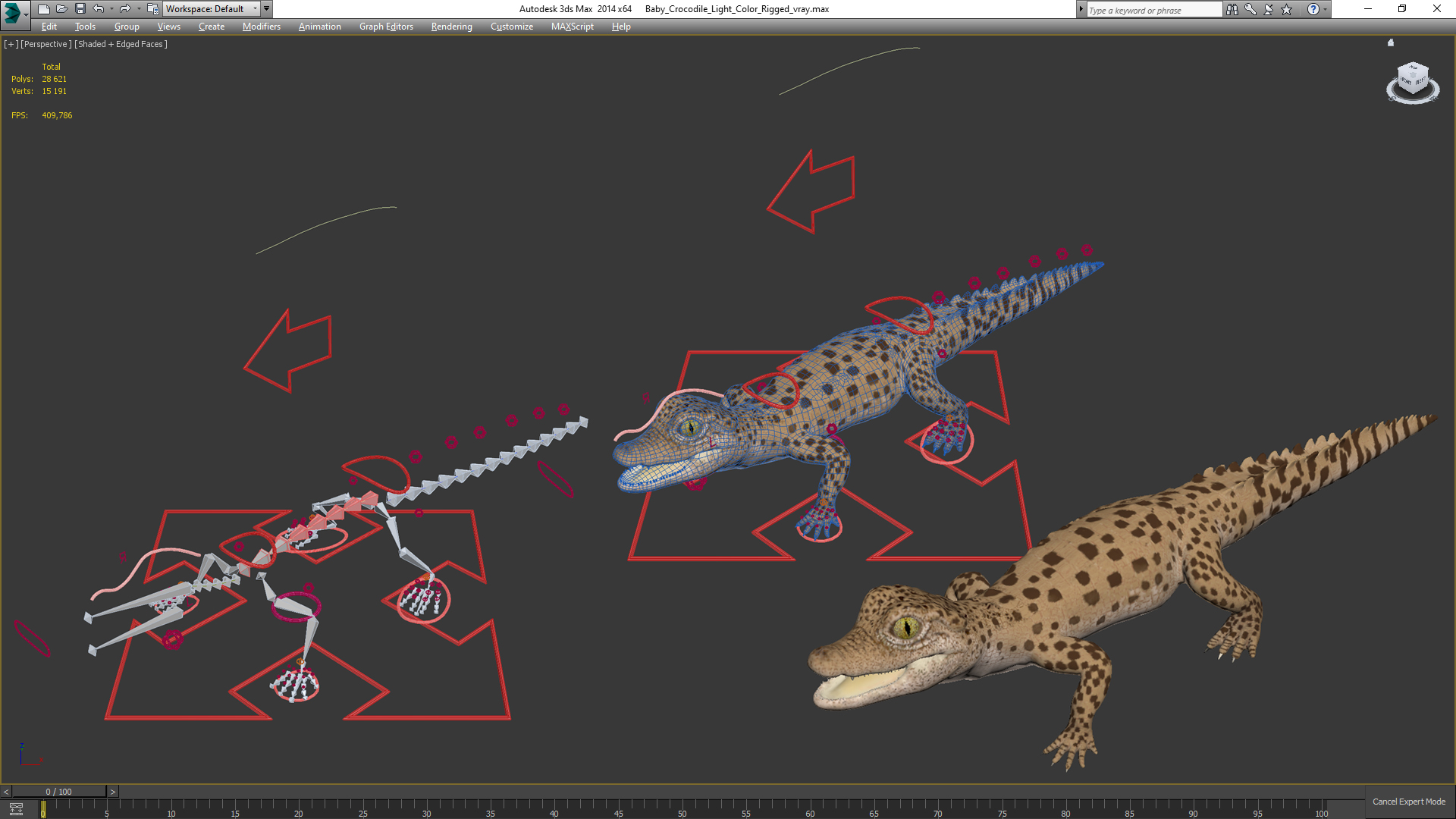Baby Crocodile Light Color Rigged for Maya 3D
