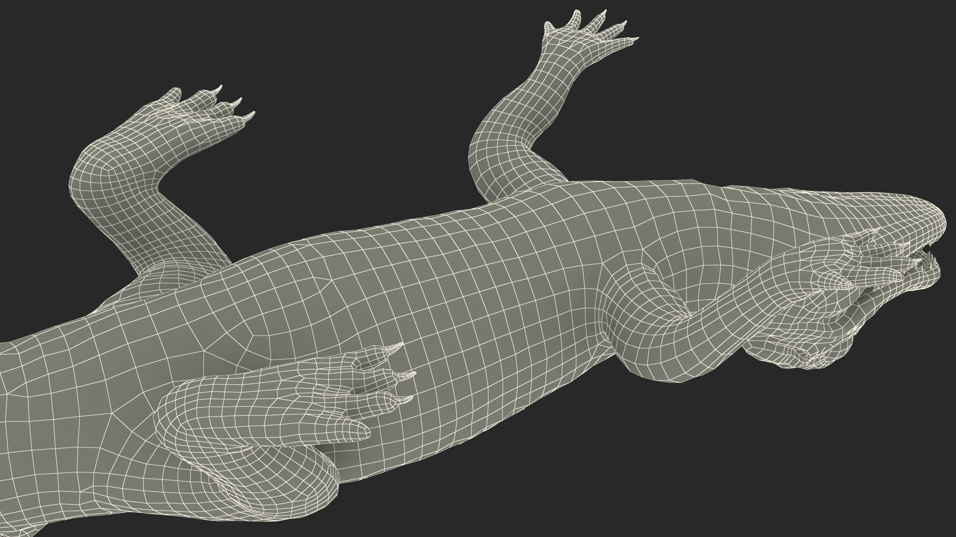 Baby Crocodile Light Color Rigged for Maya 3D