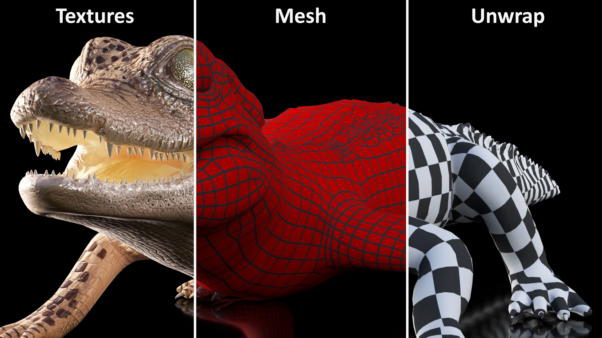 Baby Crocodile Light Color Rigged for Maya 3D