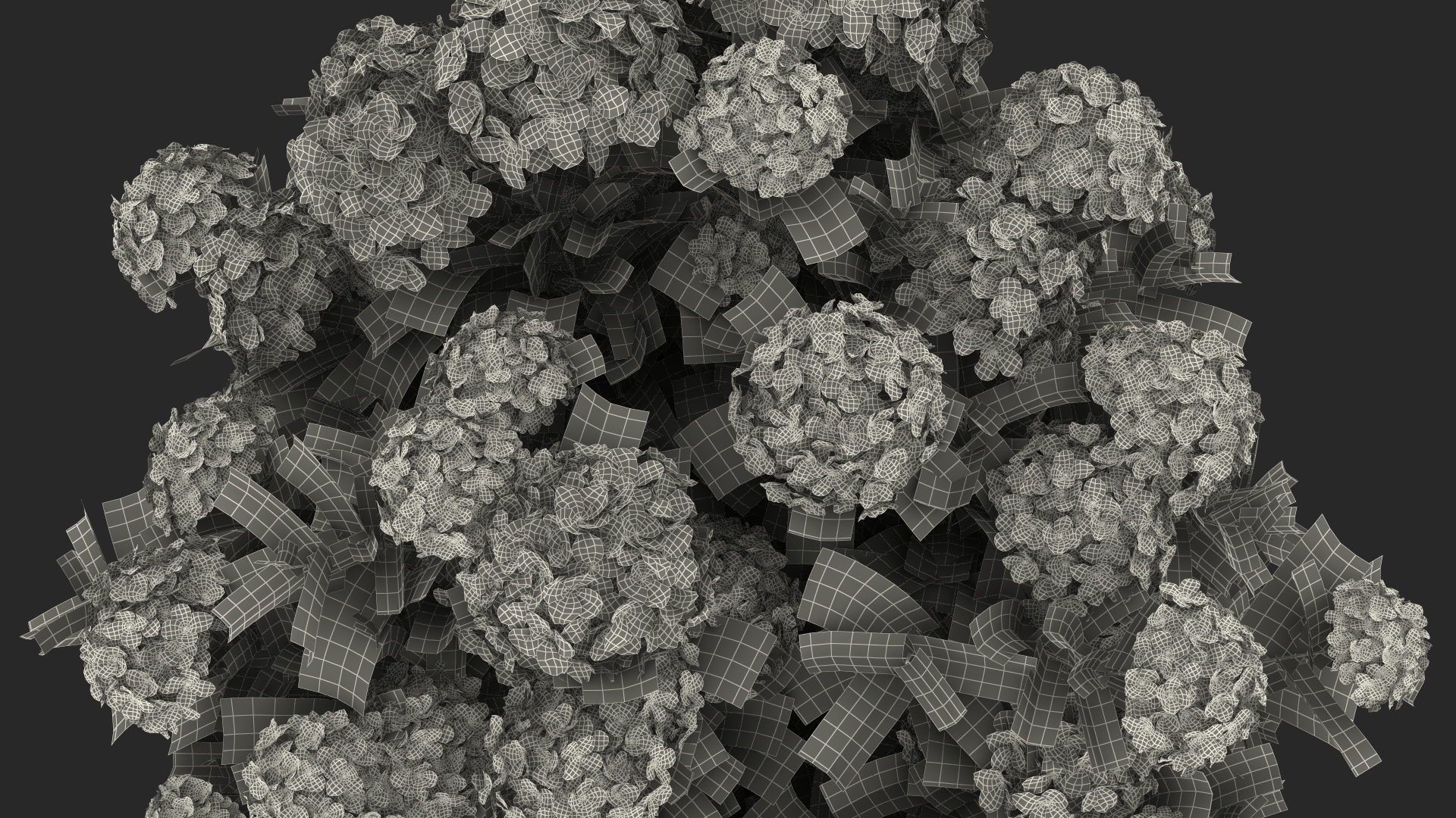 3D Hydrangea Macrophylla Pink Annabelle