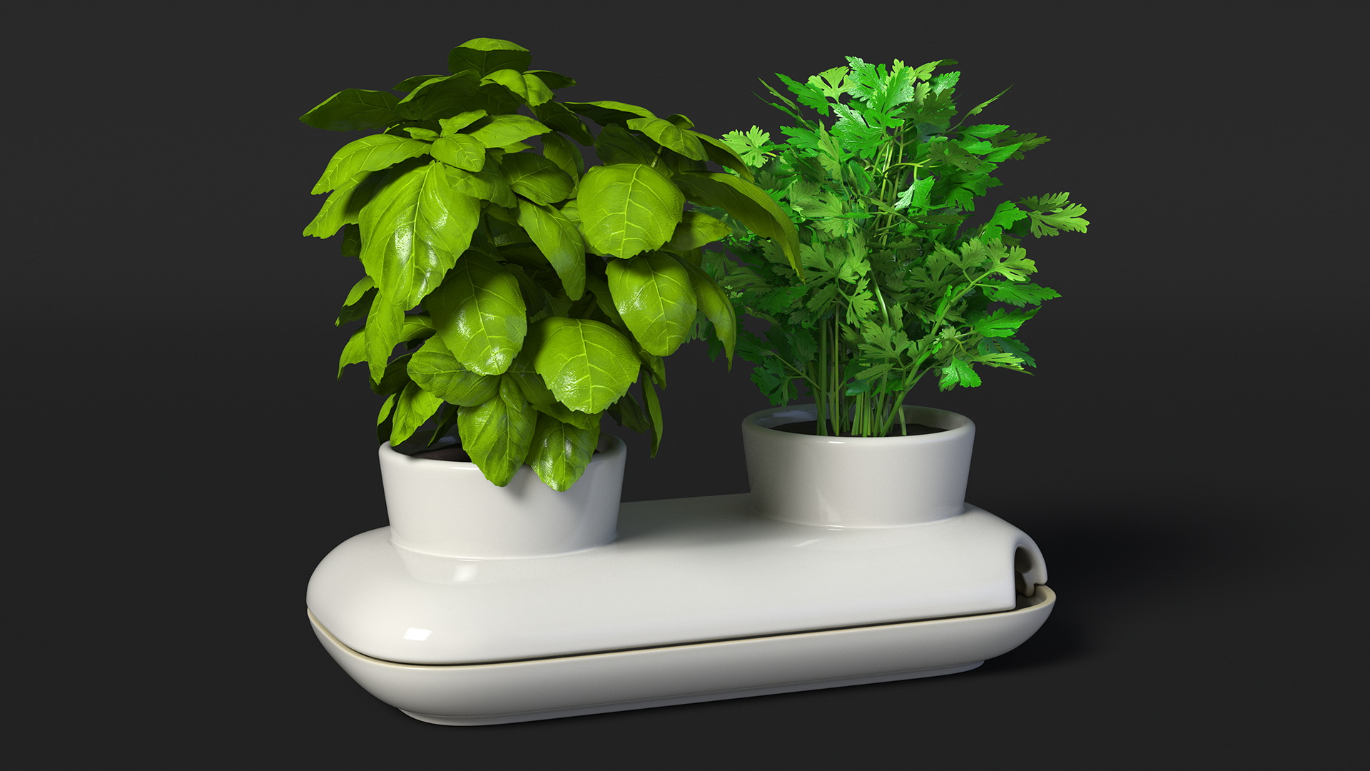 Herbs in Sagaform Double Pot White 3D model