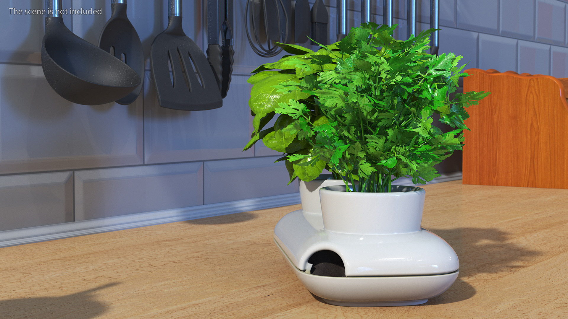 Herbs in Sagaform Double Pot White 3D model