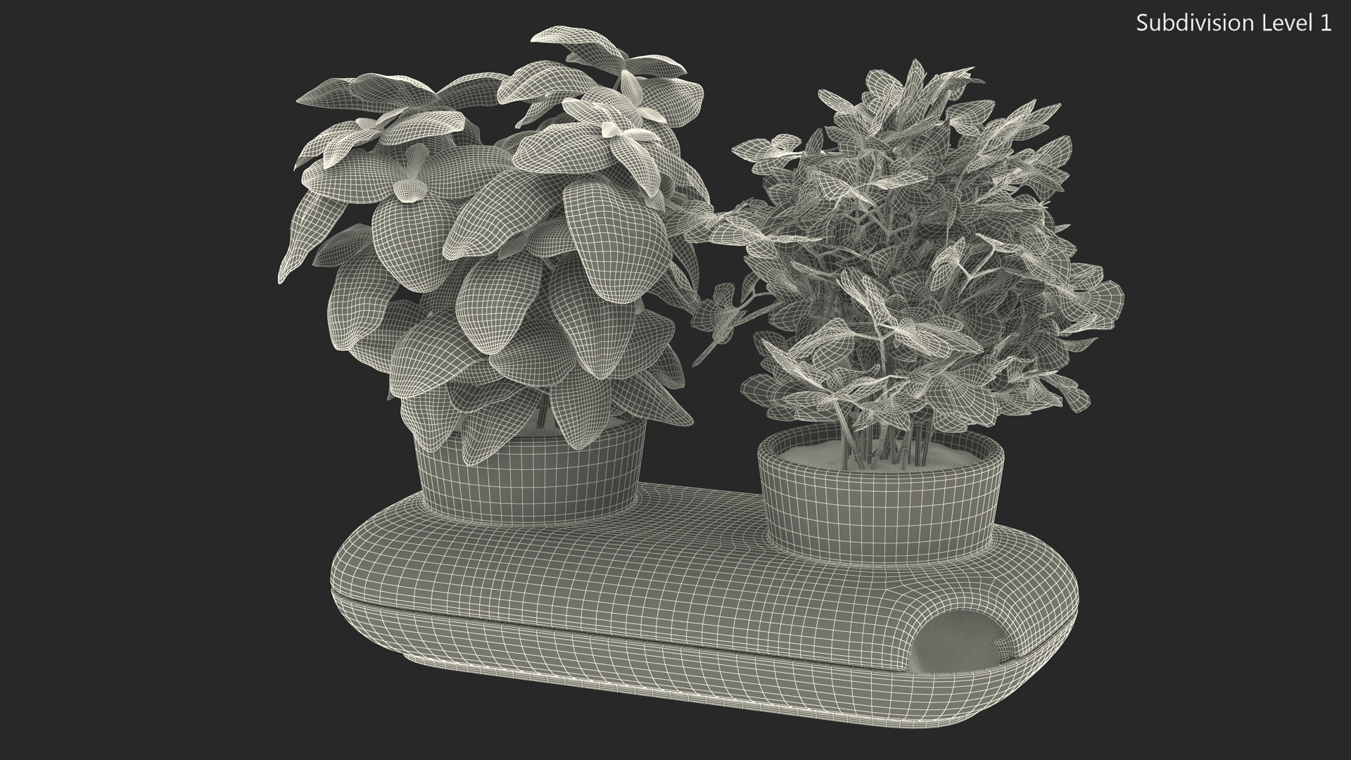 Herbs in Sagaform Double Pot White 3D model