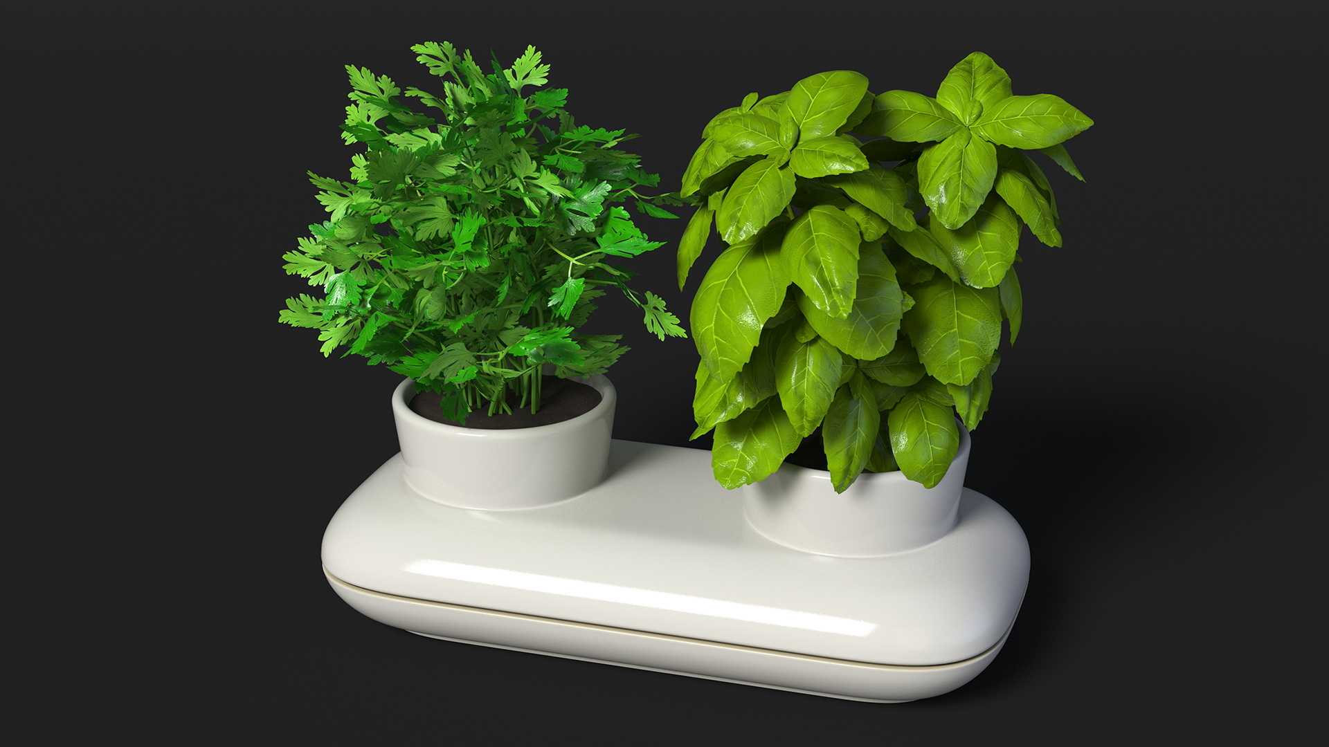 Herbs in Sagaform Double Pot White 3D model