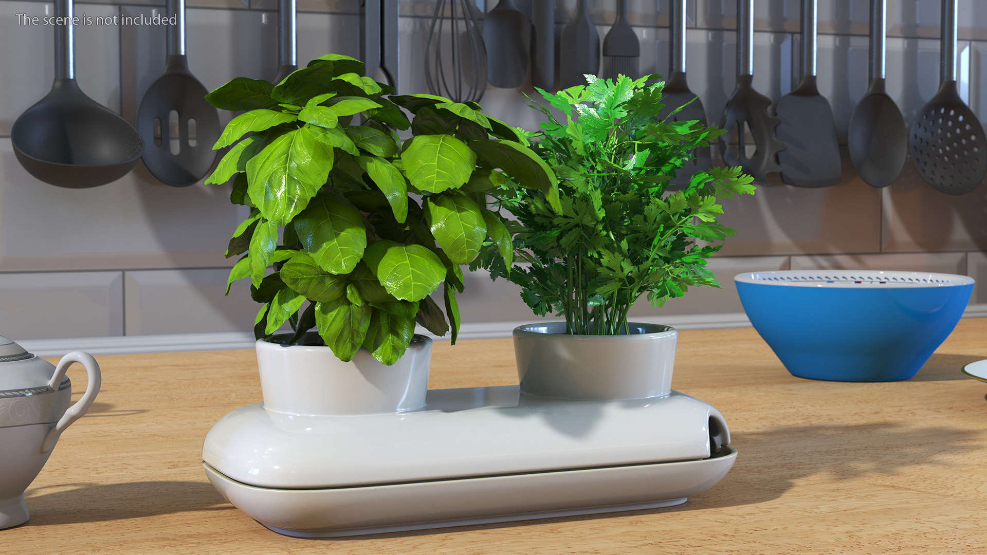 Herbs in Sagaform Double Pot White 3D model