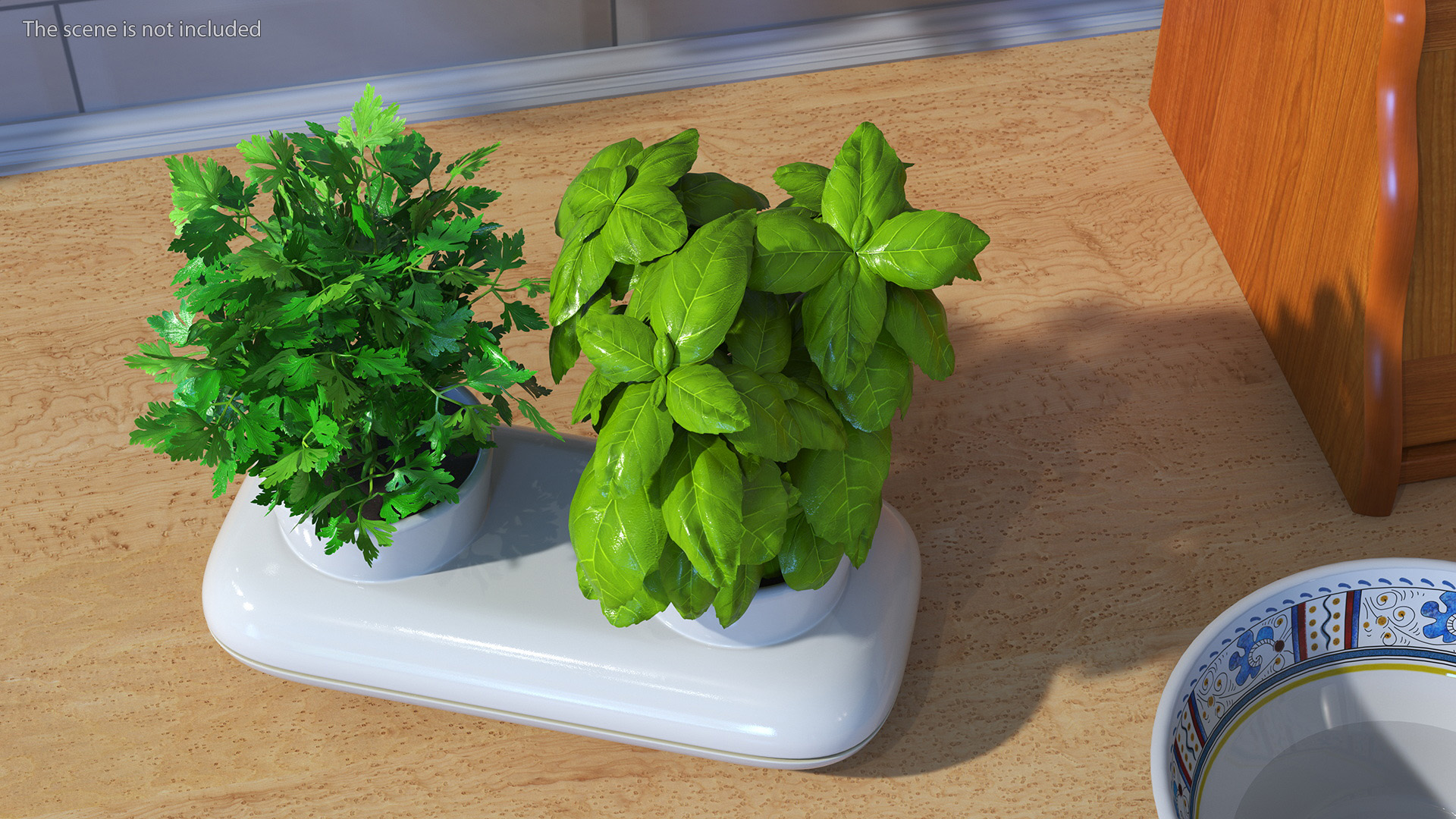 Herbs in Sagaform Double Pot White 3D model