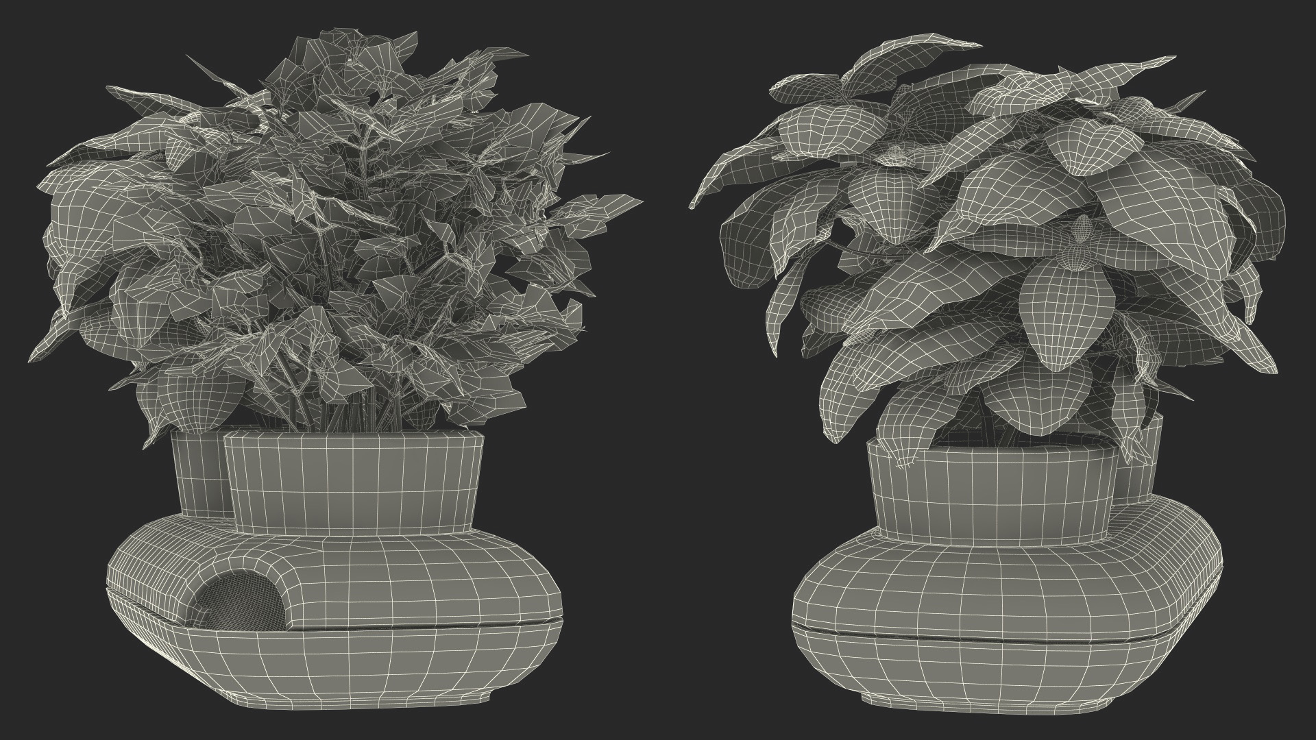 Herbs in Sagaform Double Pot White 3D model