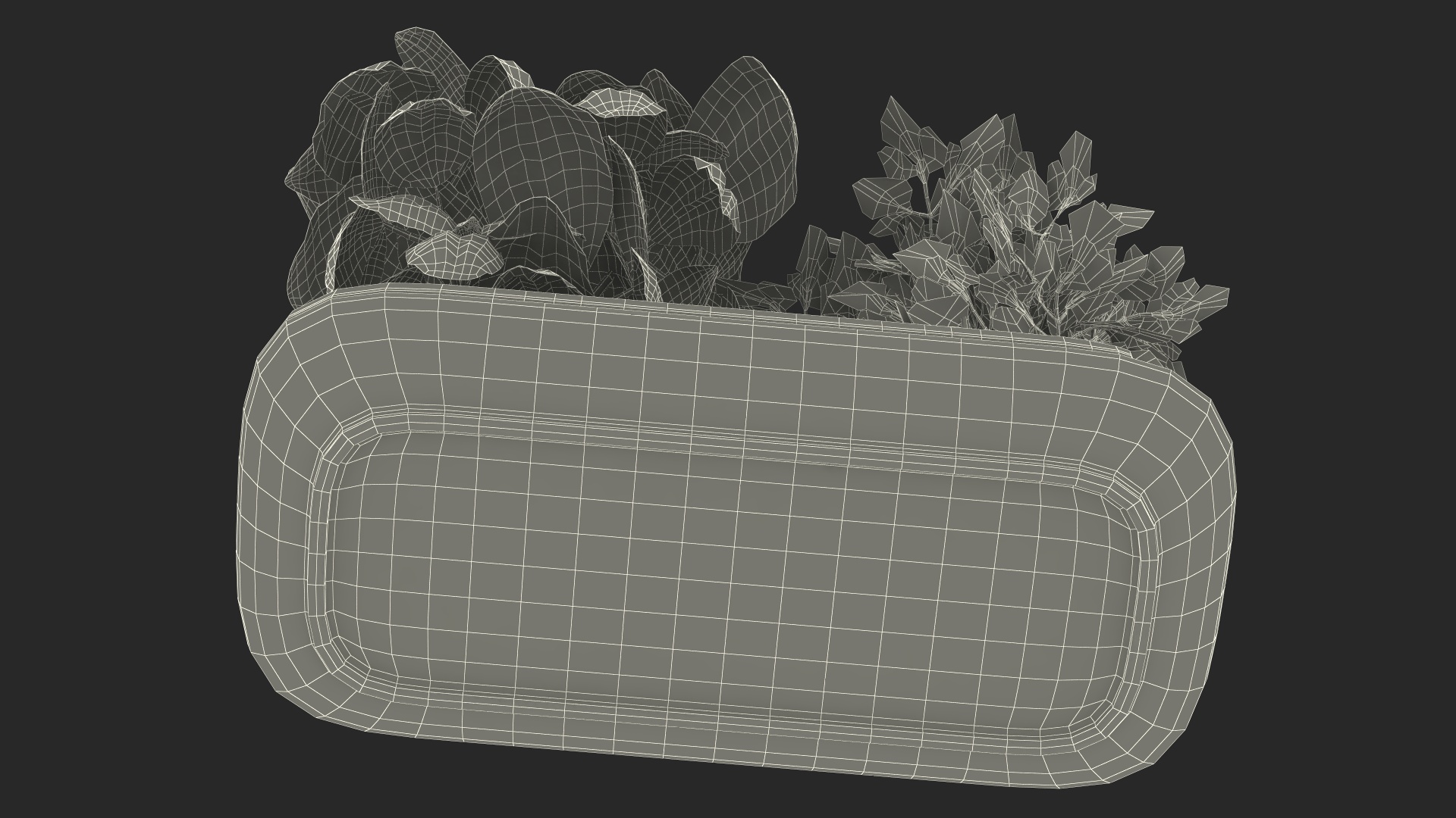 Herbs in Sagaform Double Pot White 3D model