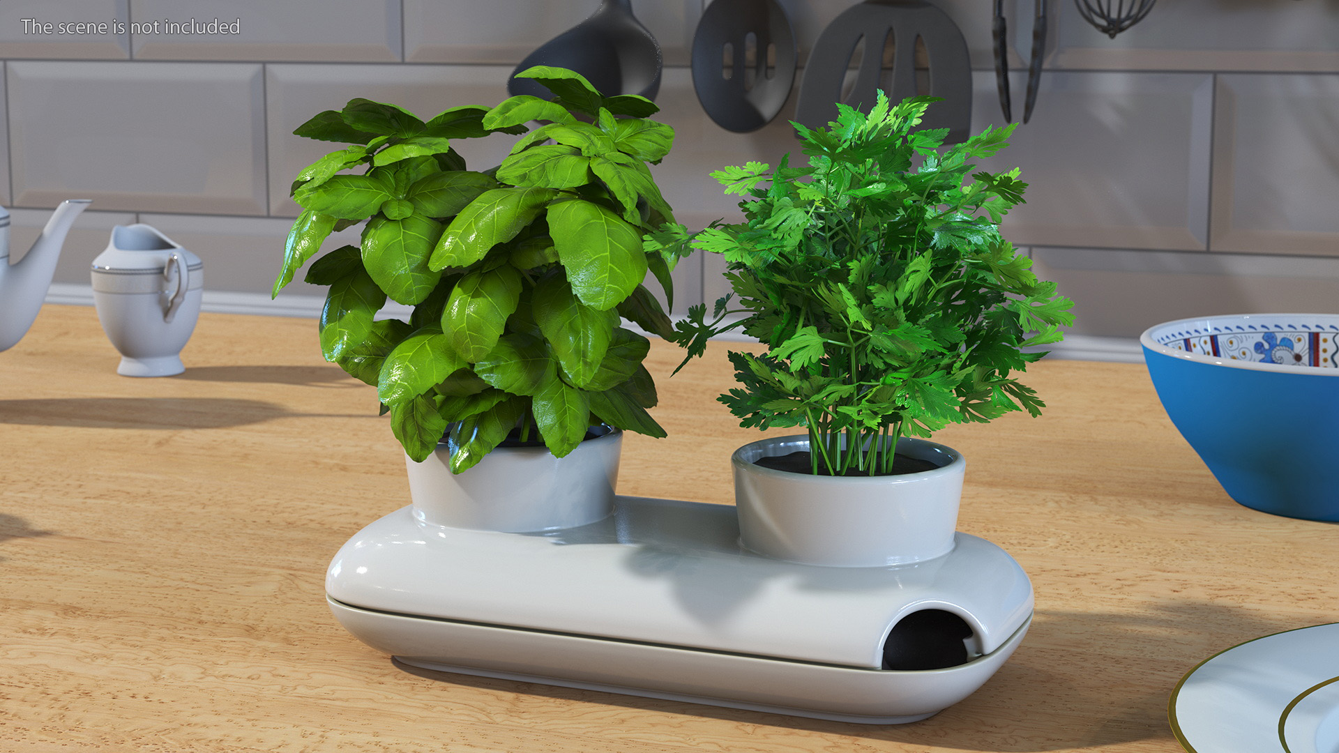 Herbs in Sagaform Double Pot White 3D model