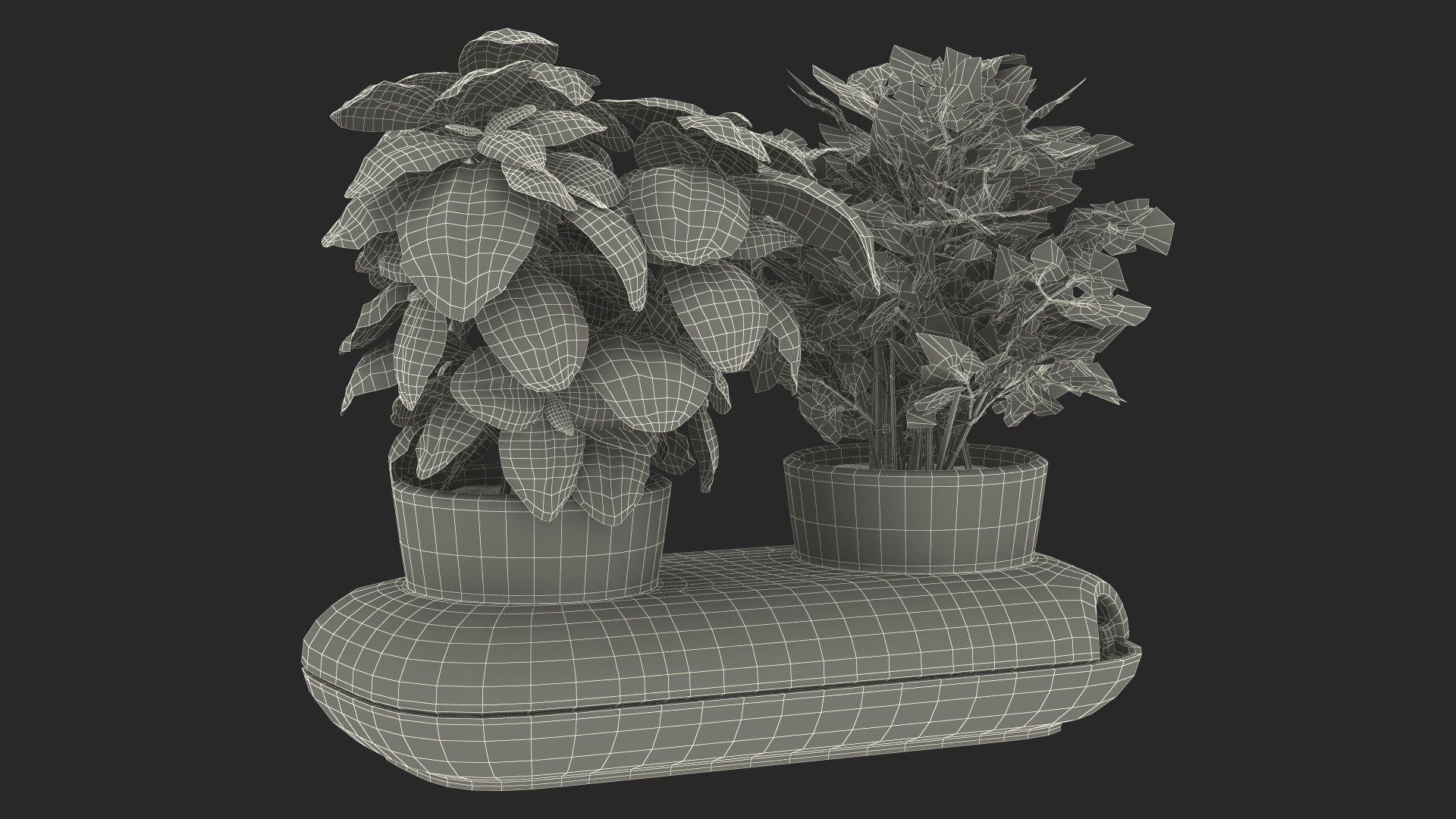 Herbs in Sagaform Double Pot White 3D model