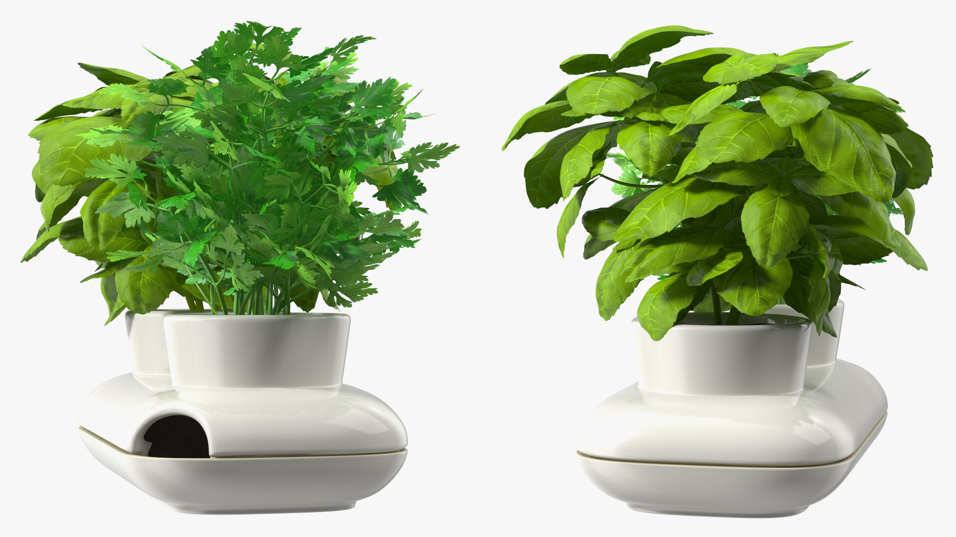 Herbs in Sagaform Double Pot White 3D model