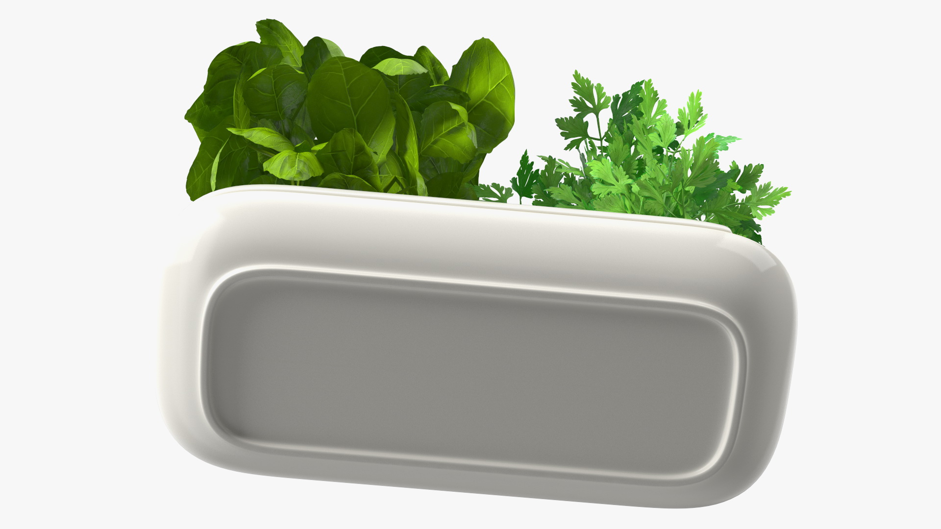 Herbs in Sagaform Double Pot White 3D model