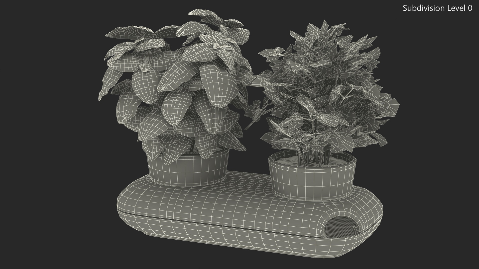 Herbs in Sagaform Double Pot White 3D model