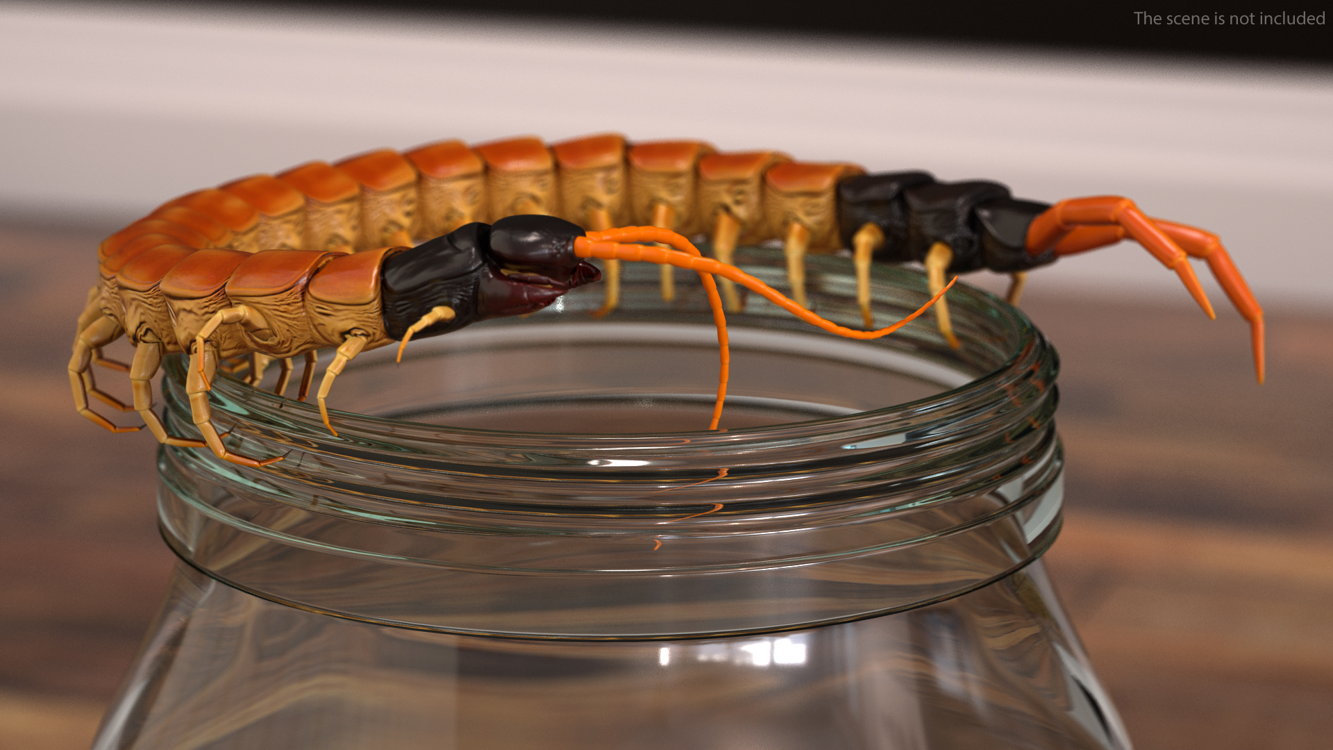 3D Scolopendra Heros Arizona Giant Centipede Rigged model