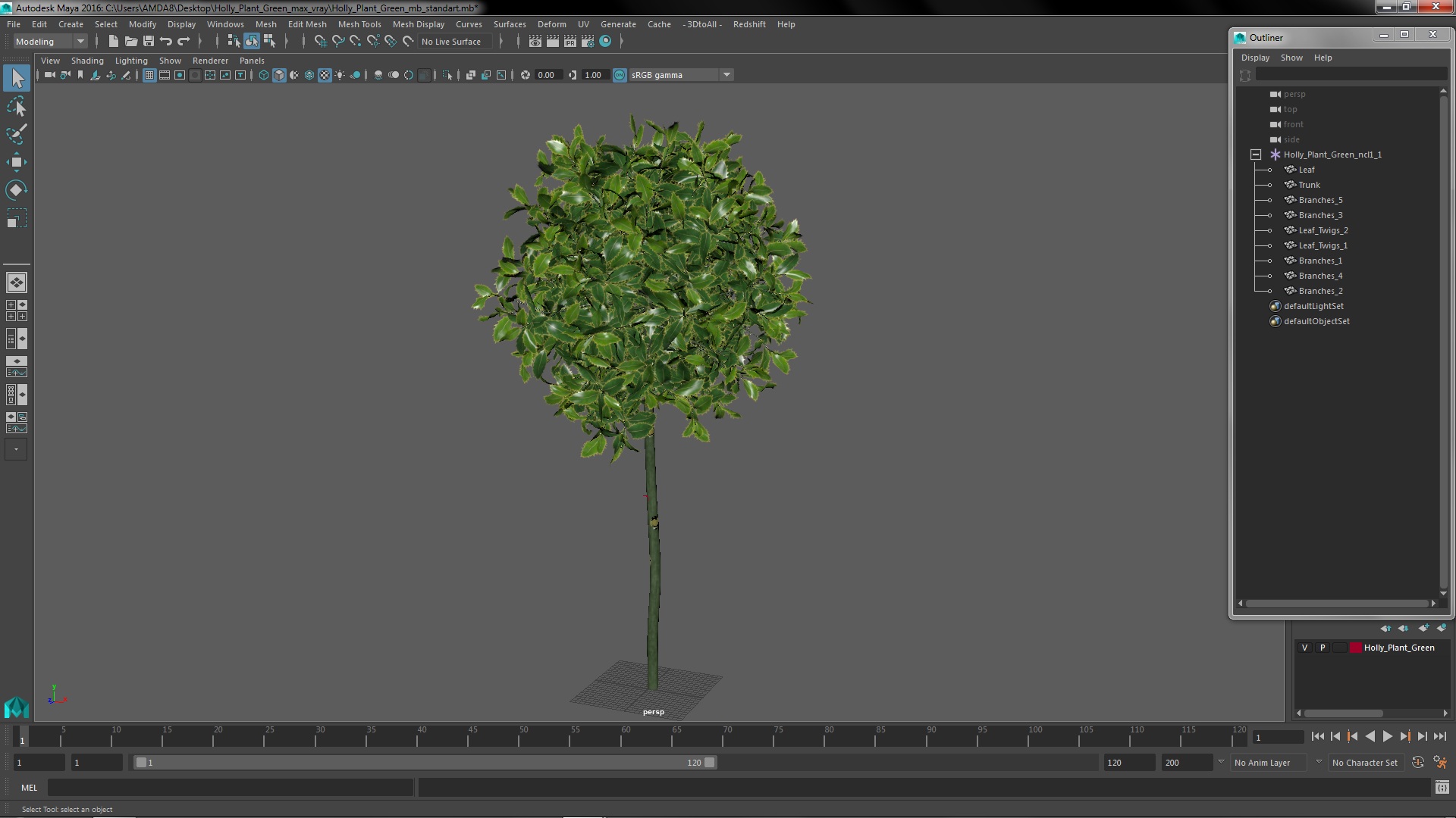 Holly Plant Green 3D