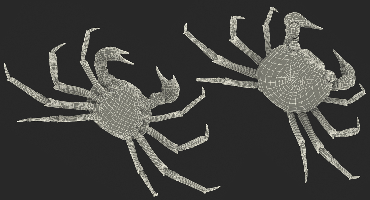 3D Vampire Crab Geosesarma Dennerle with Fur
