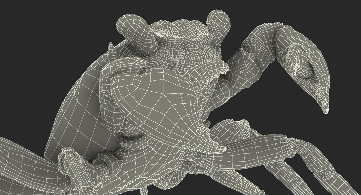 3D Vampire Crab Geosesarma Dennerle with Fur