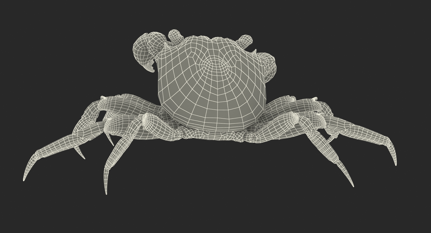 3D Vampire Crab Geosesarma Dennerle with Fur