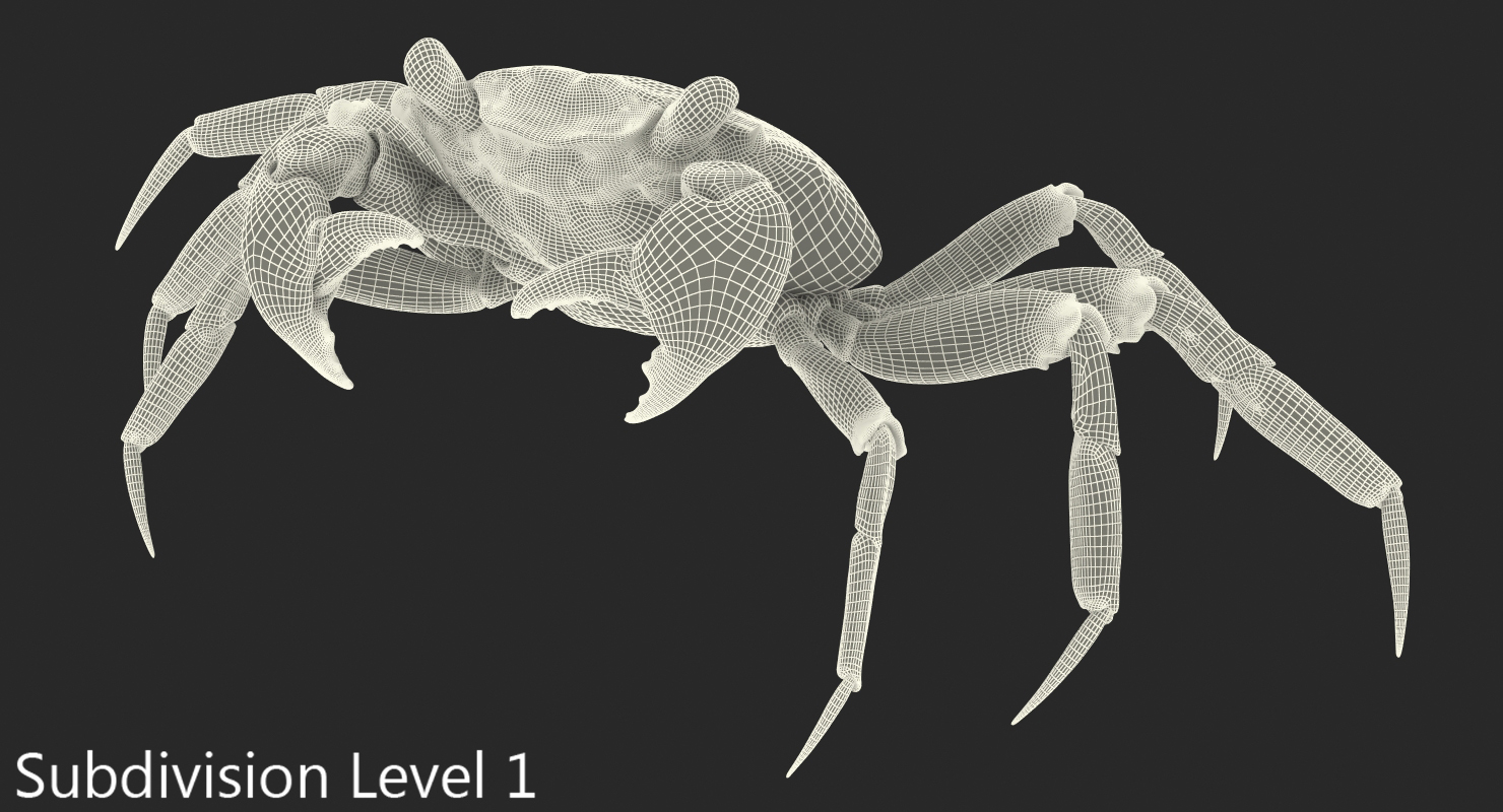 3D Vampire Crab Geosesarma Dennerle with Fur