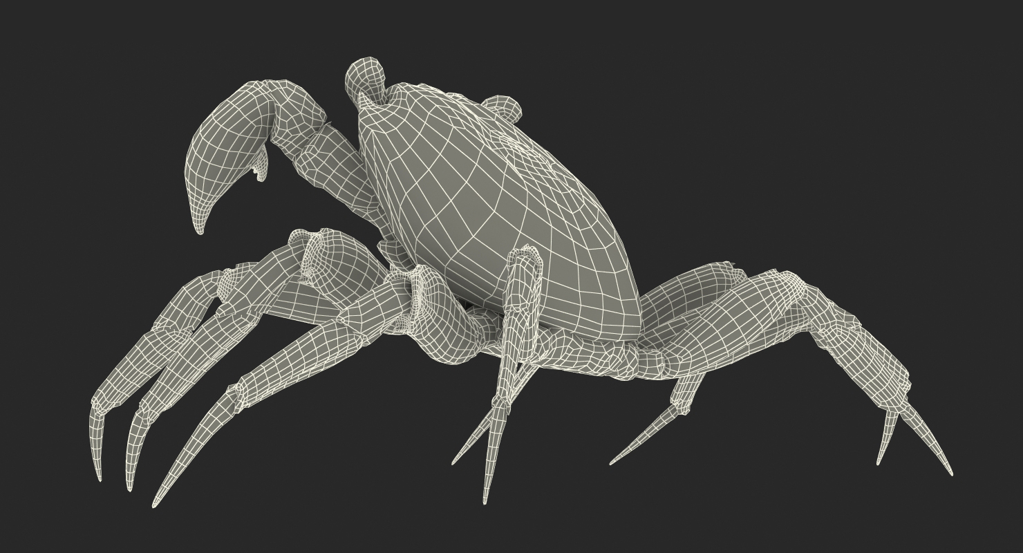 3D Vampire Crab Geosesarma Dennerle with Fur