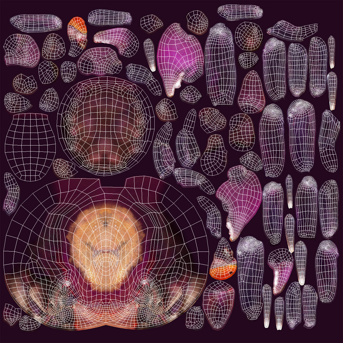 3D Vampire Crab Geosesarma Dennerle with Fur