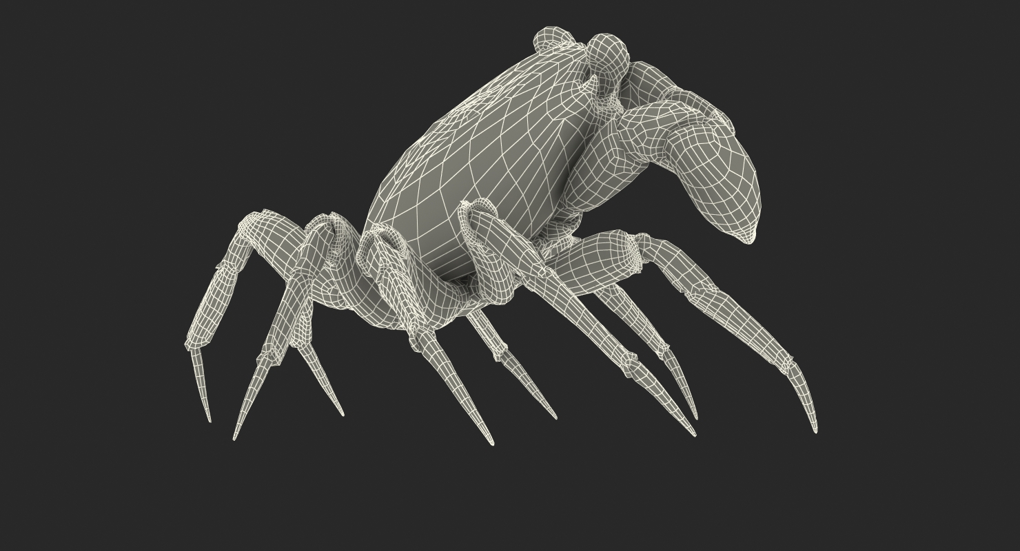 3D Vampire Crab Geosesarma Dennerle with Fur