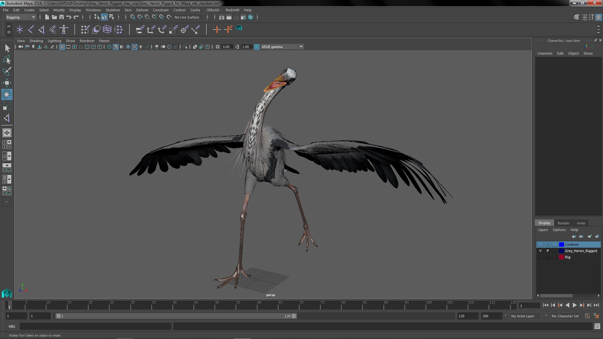 3D Grey Heron Rigged for Maya