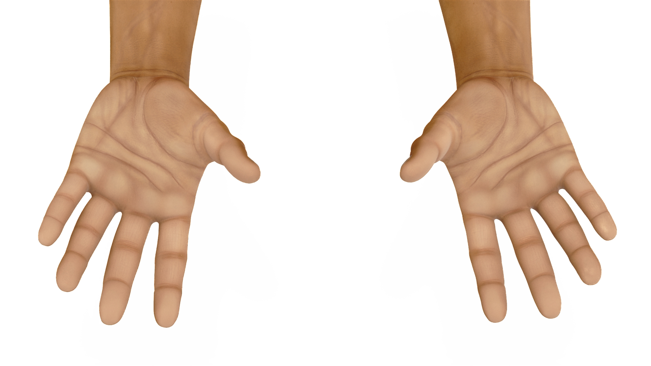 European Man Hands Rigged for Maya 3D model
