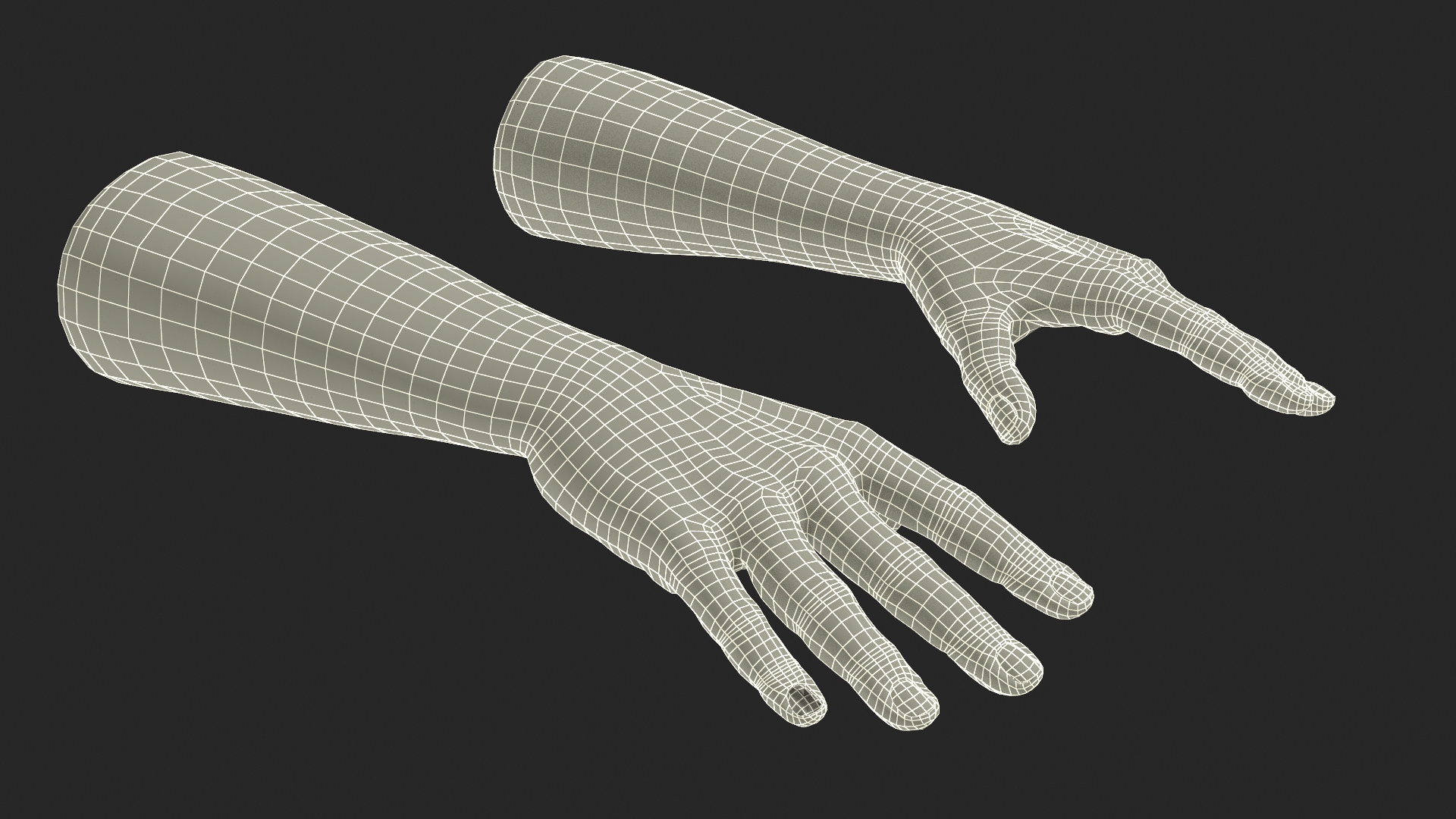 European Man Hands Rigged for Maya 3D model