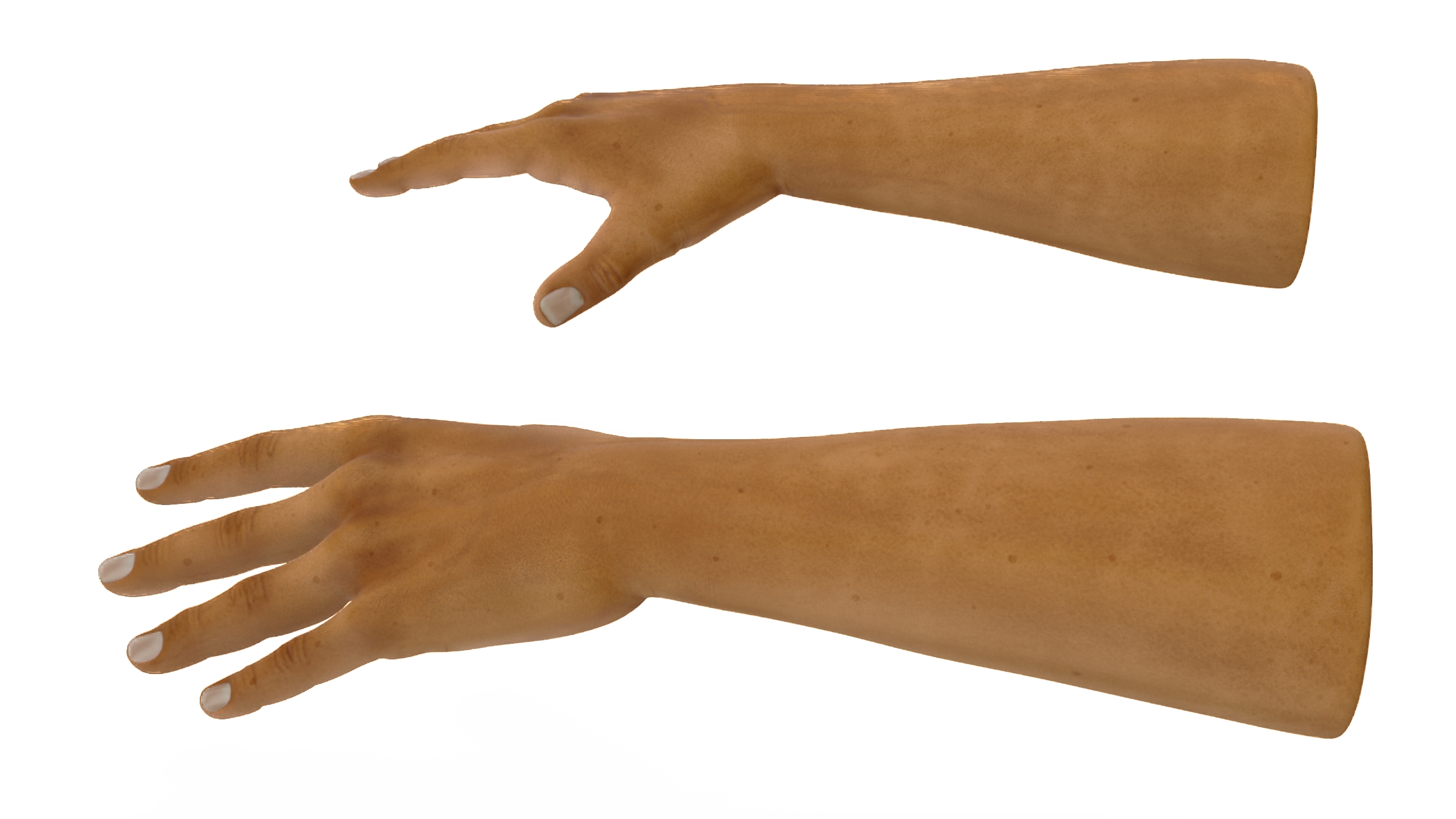 European Man Hands Rigged for Maya 3D model