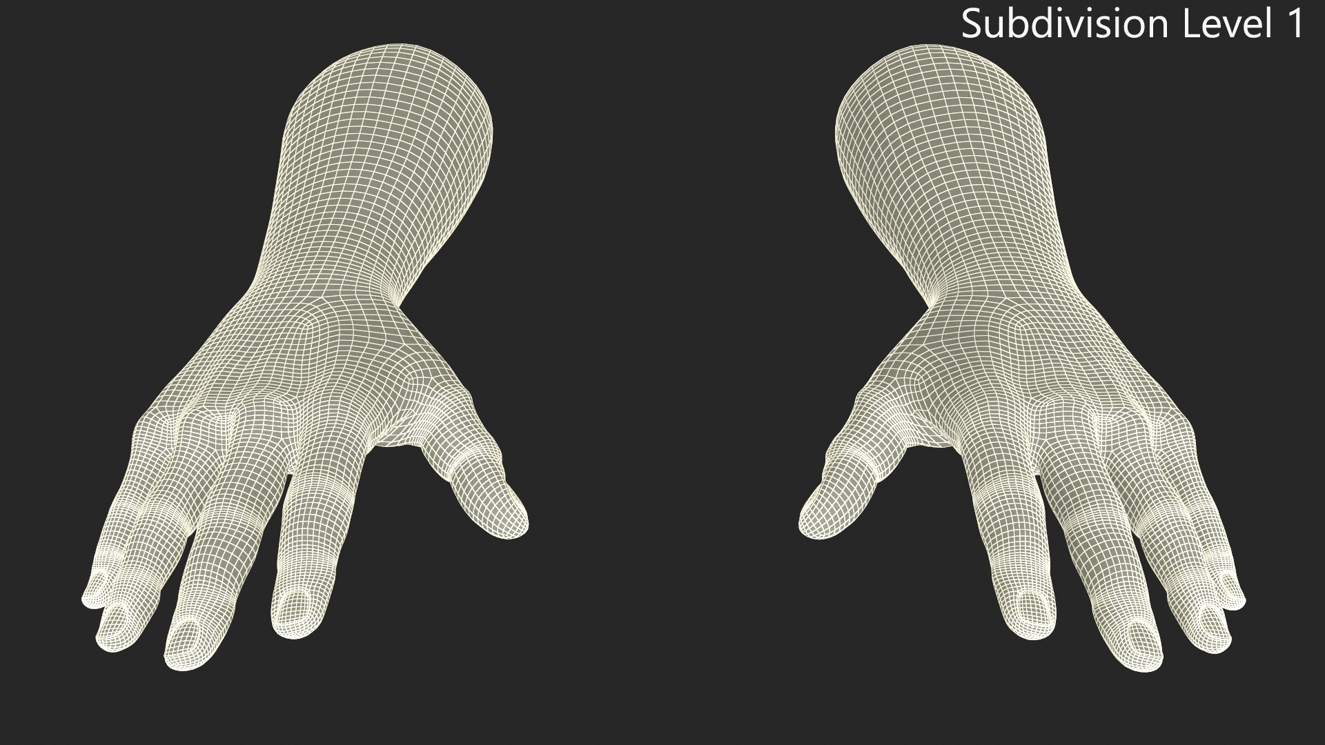 European Man Hands Rigged for Maya 3D model