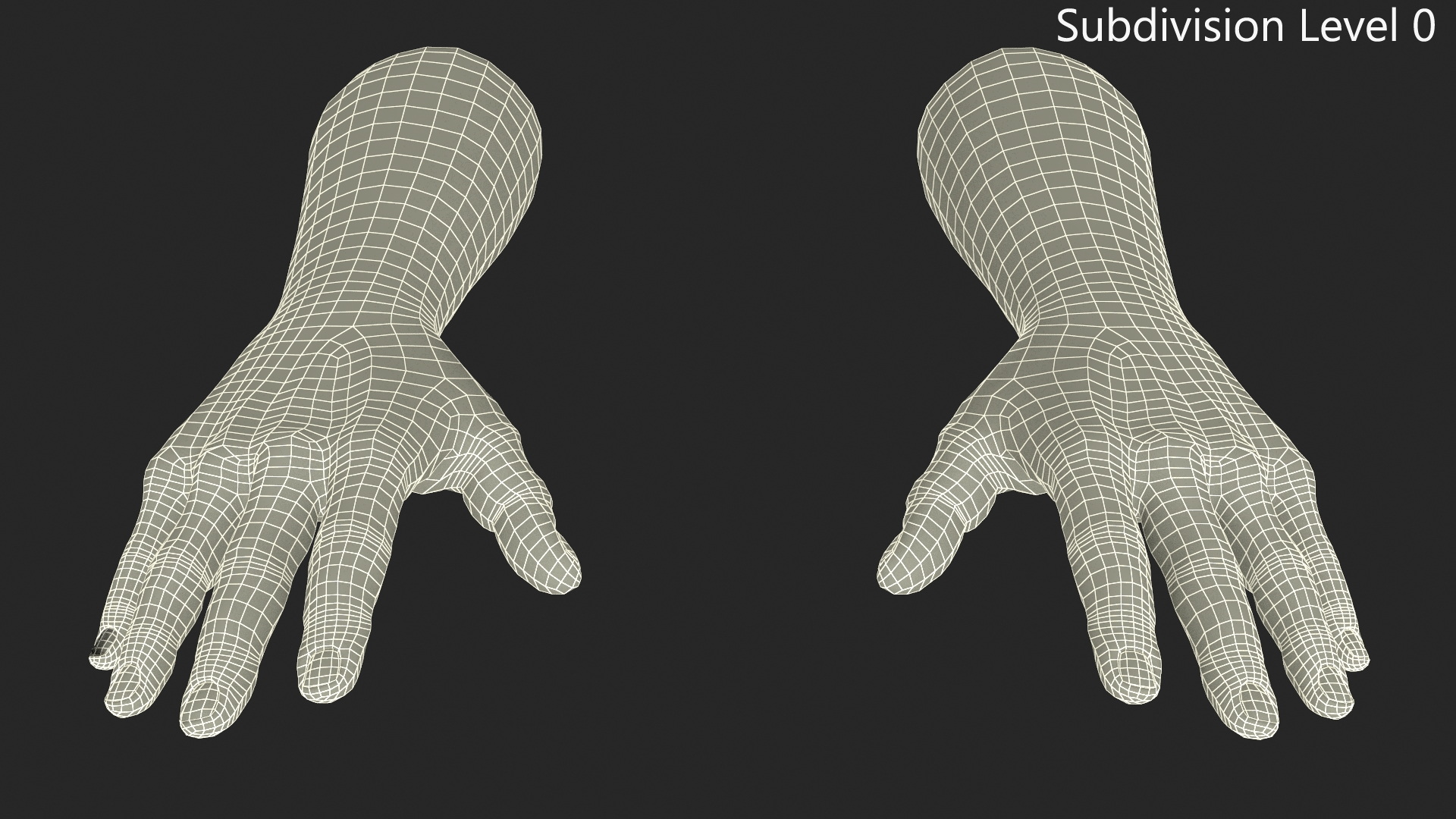European Man Hands Rigged for Maya 3D model